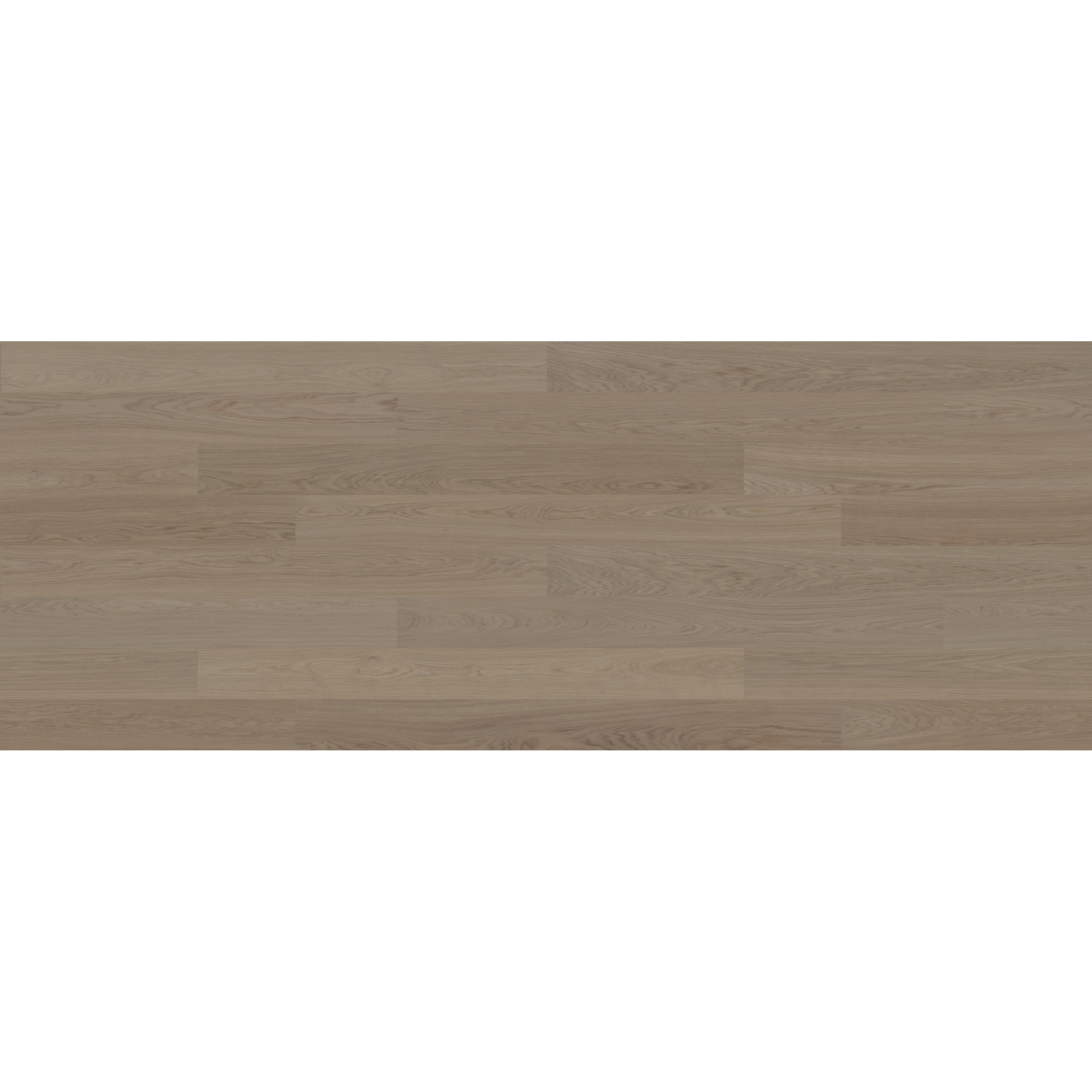 GRYBY 3.0 XL