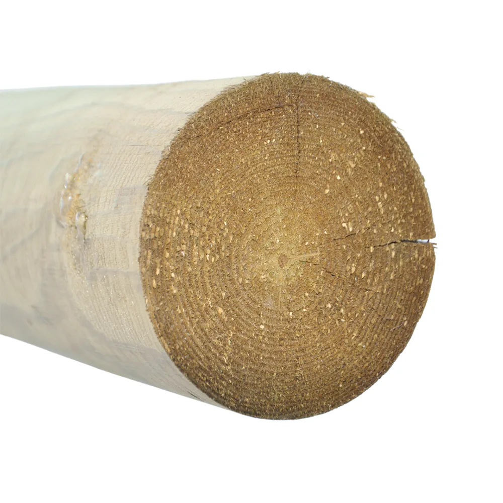 Bom Fyrås Trä 95x3000 mm 55 st Oimpregnerad