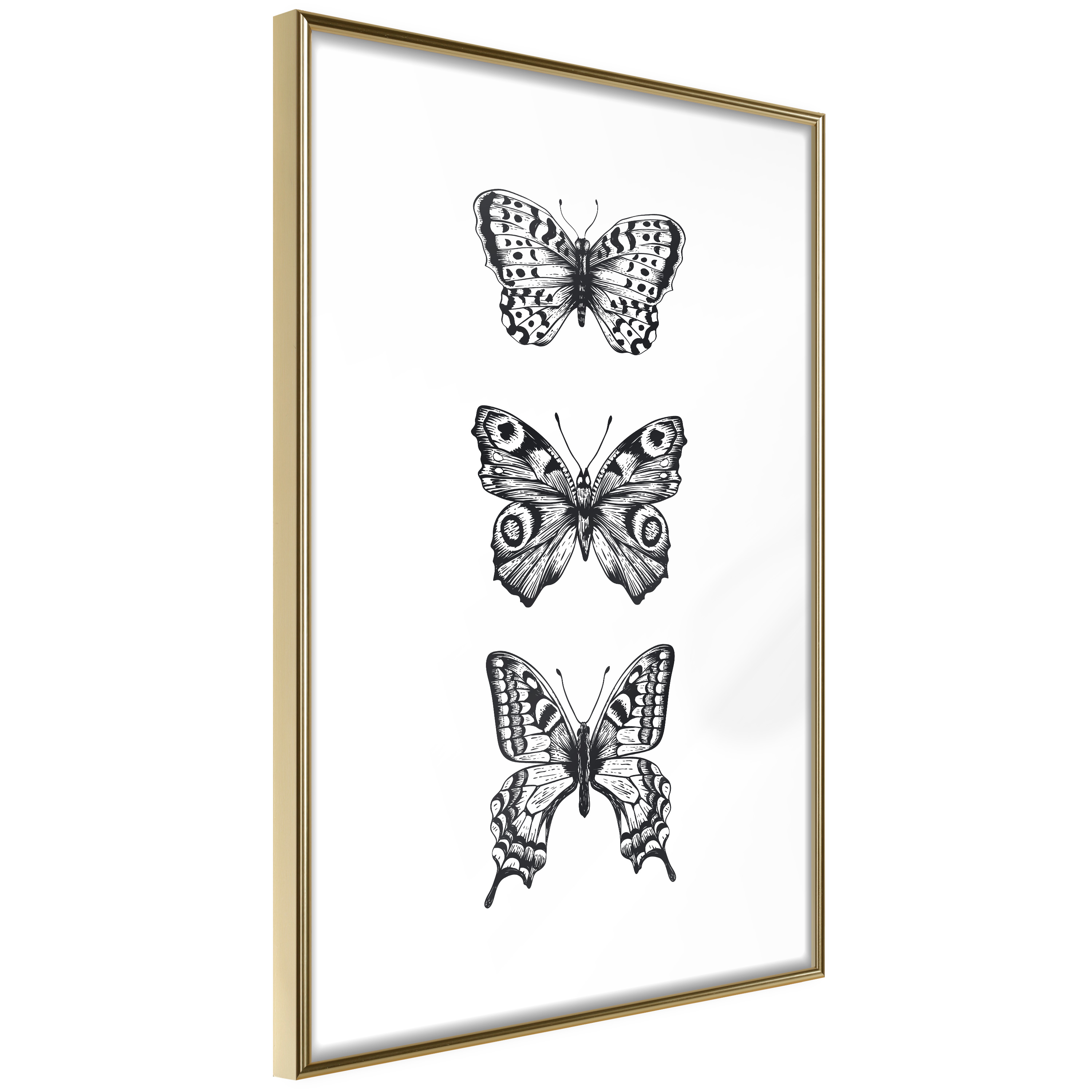 Affisch - Three Butterflies [Poster] 20x30 Guld ram, 20x30 cm