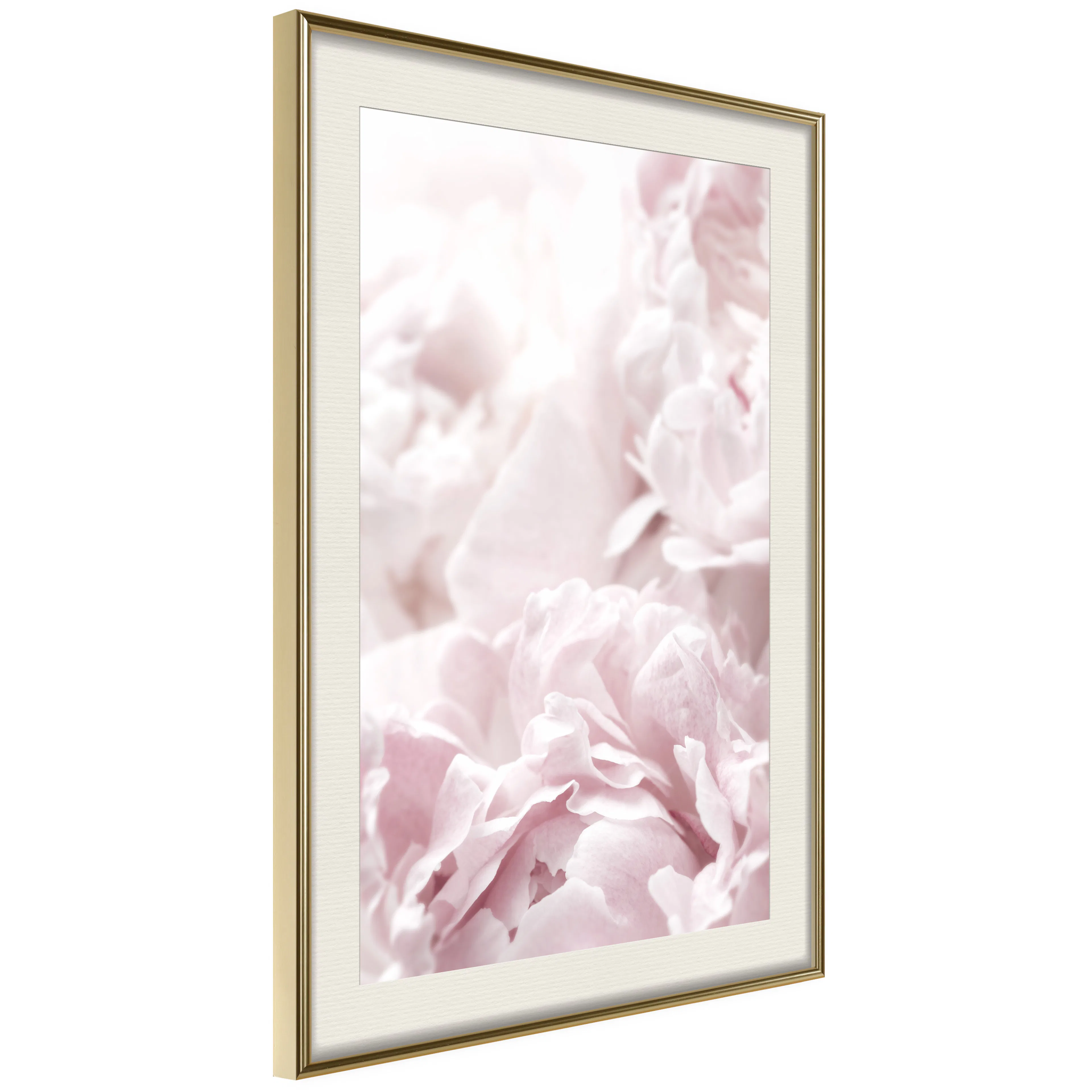 Poster Artgeist Affisch Fluffy Peonies