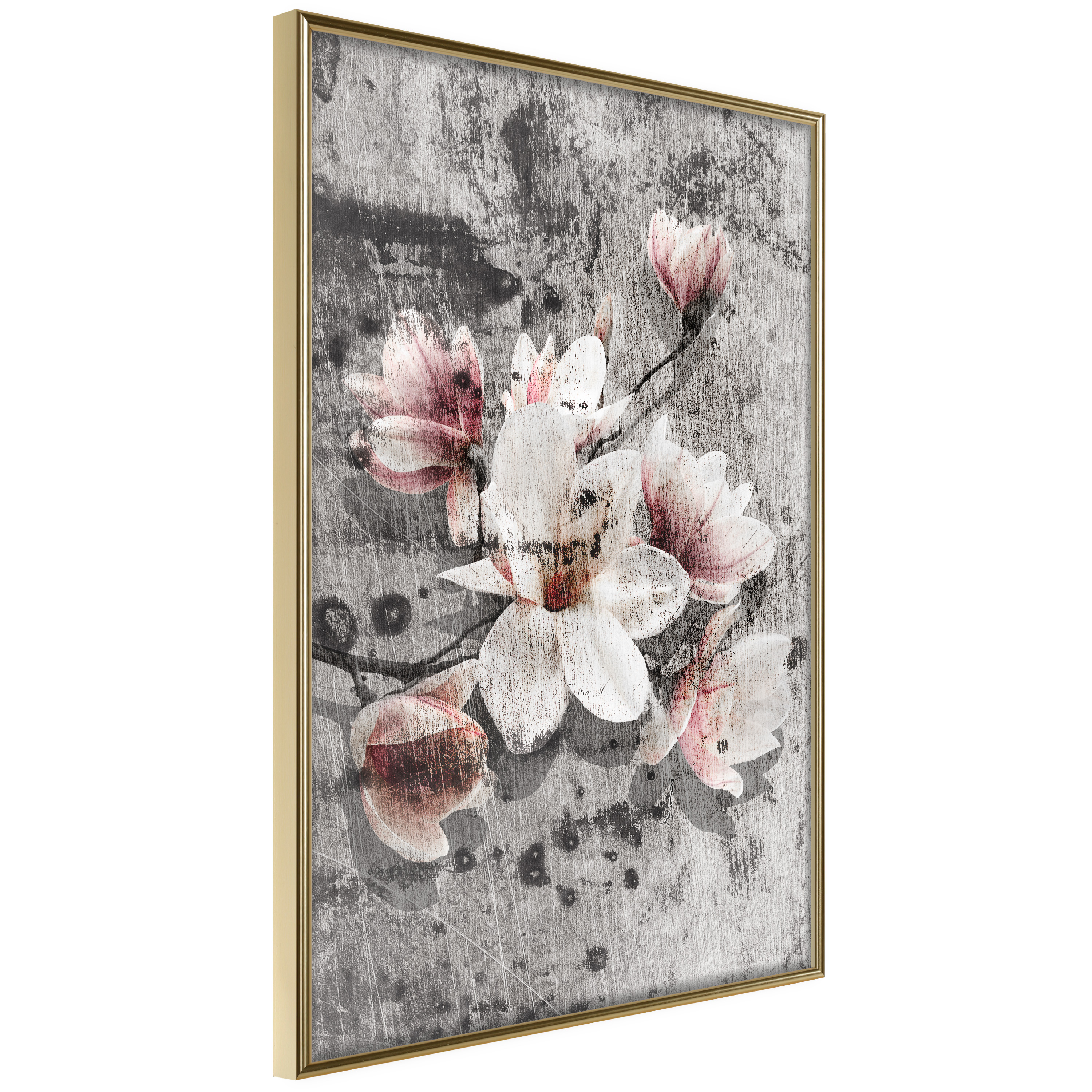 Affisch - Magnolias [Poster] 40x60 Guld ram, 40x60 cm