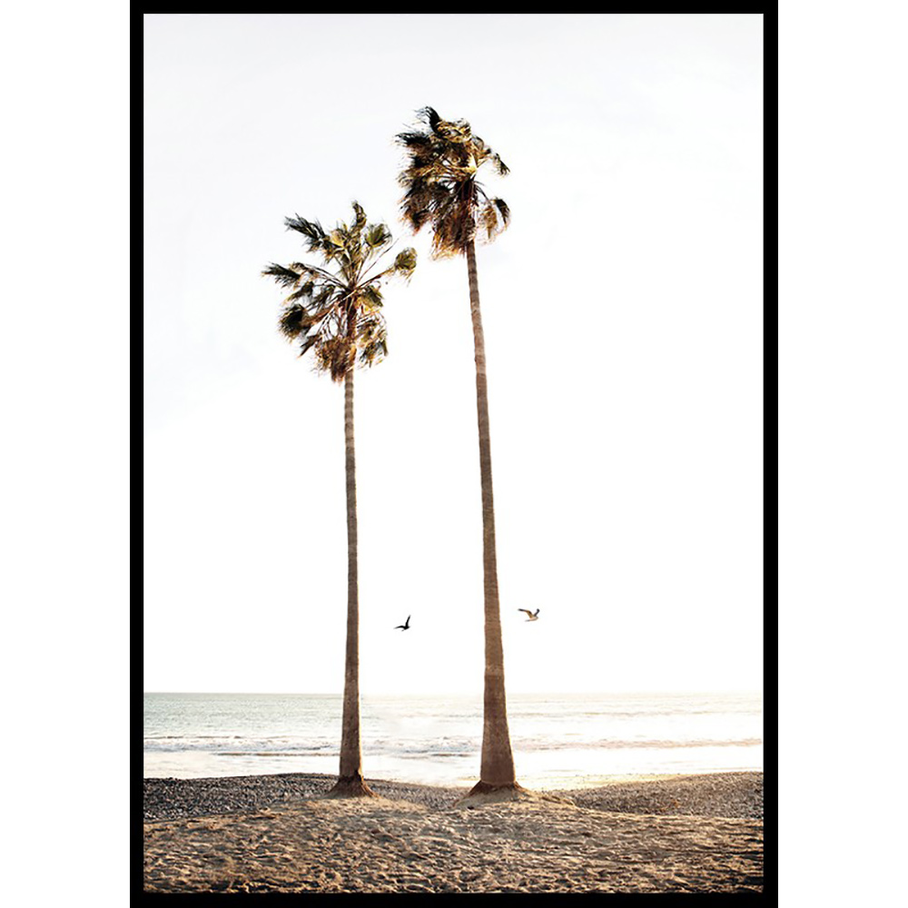 Poster Gallerix Paradise Palm Trees