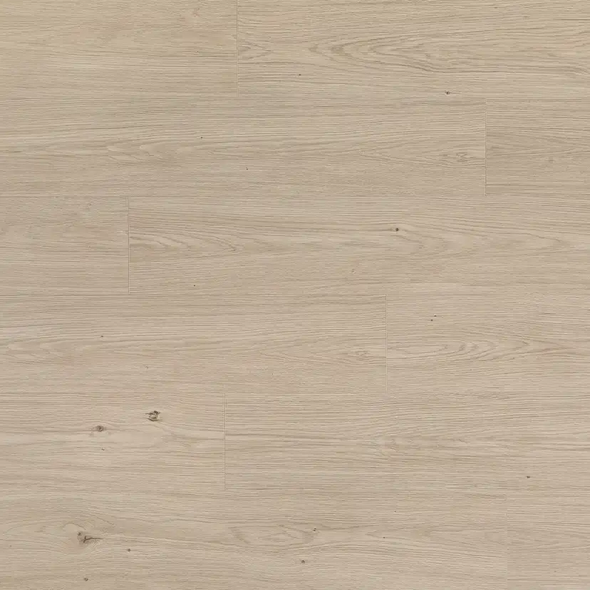 Laminatgolv Tenfors Oak Dessert 8 mm, 1-stav