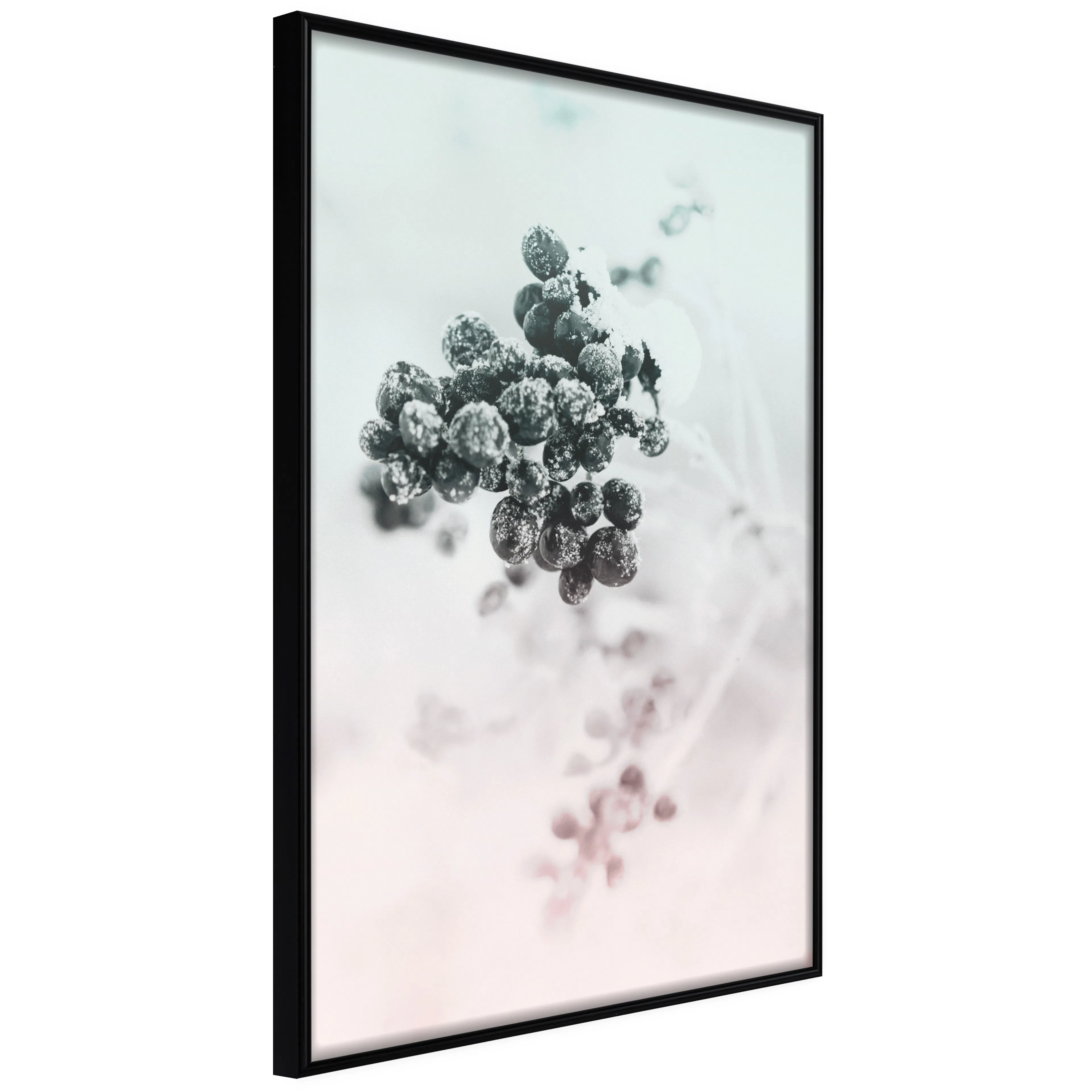 Affisch - Frozen Twig [Poster] 40x60 Svart ram, 40x60 cm