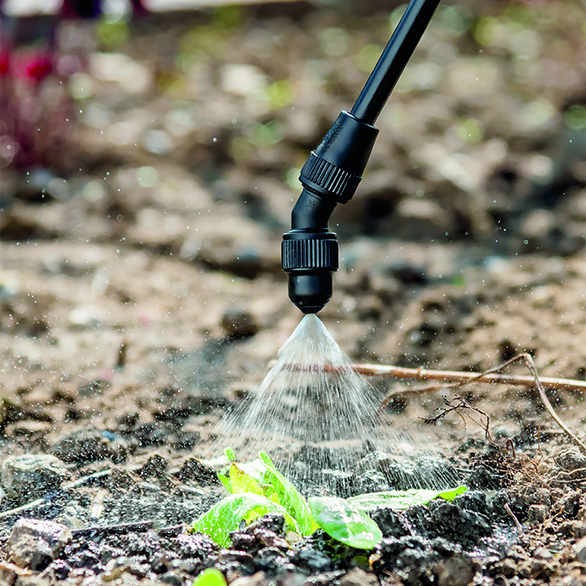 Tryckspruta Gloria Prima 5 Plus