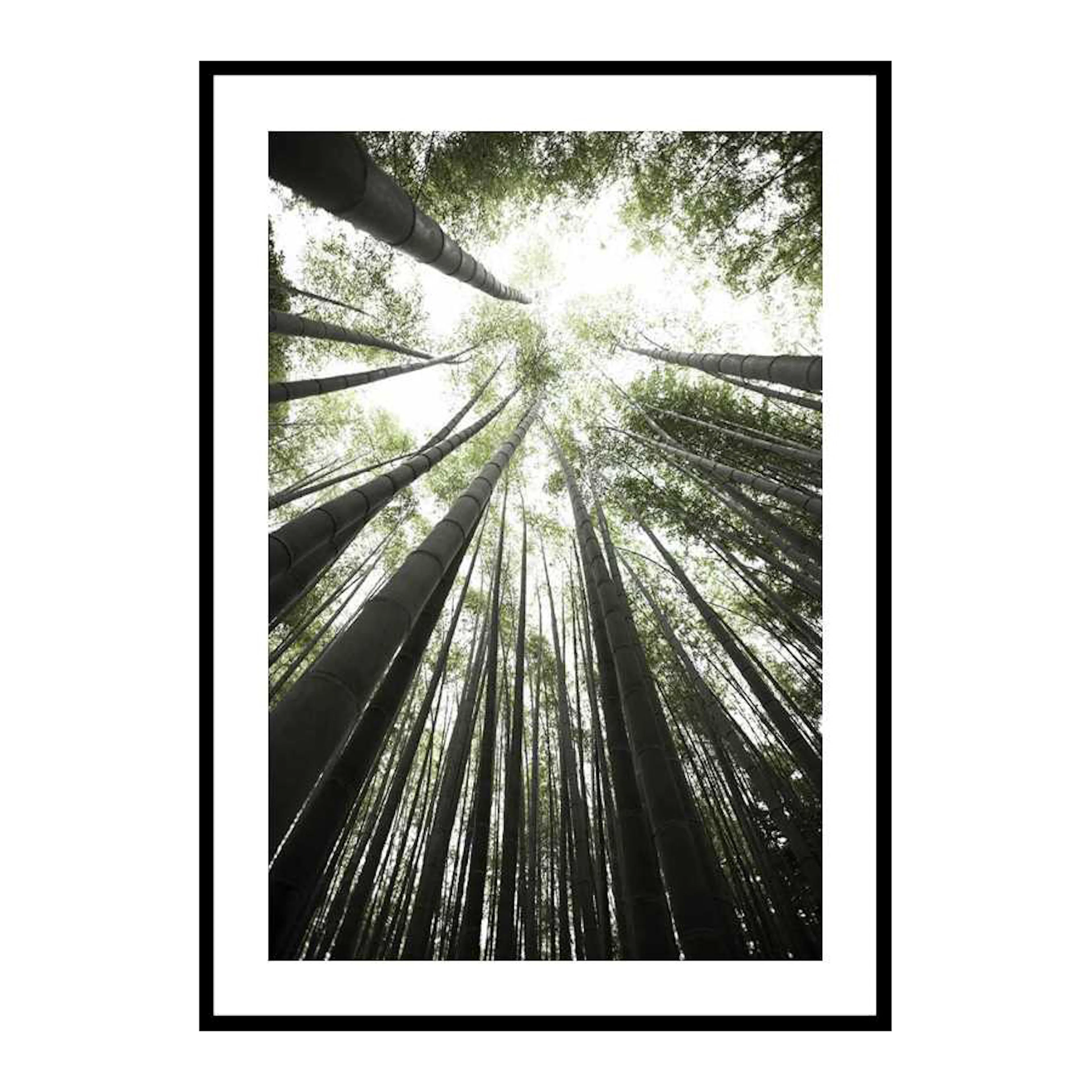 Bamboo Forest 30x40 cm