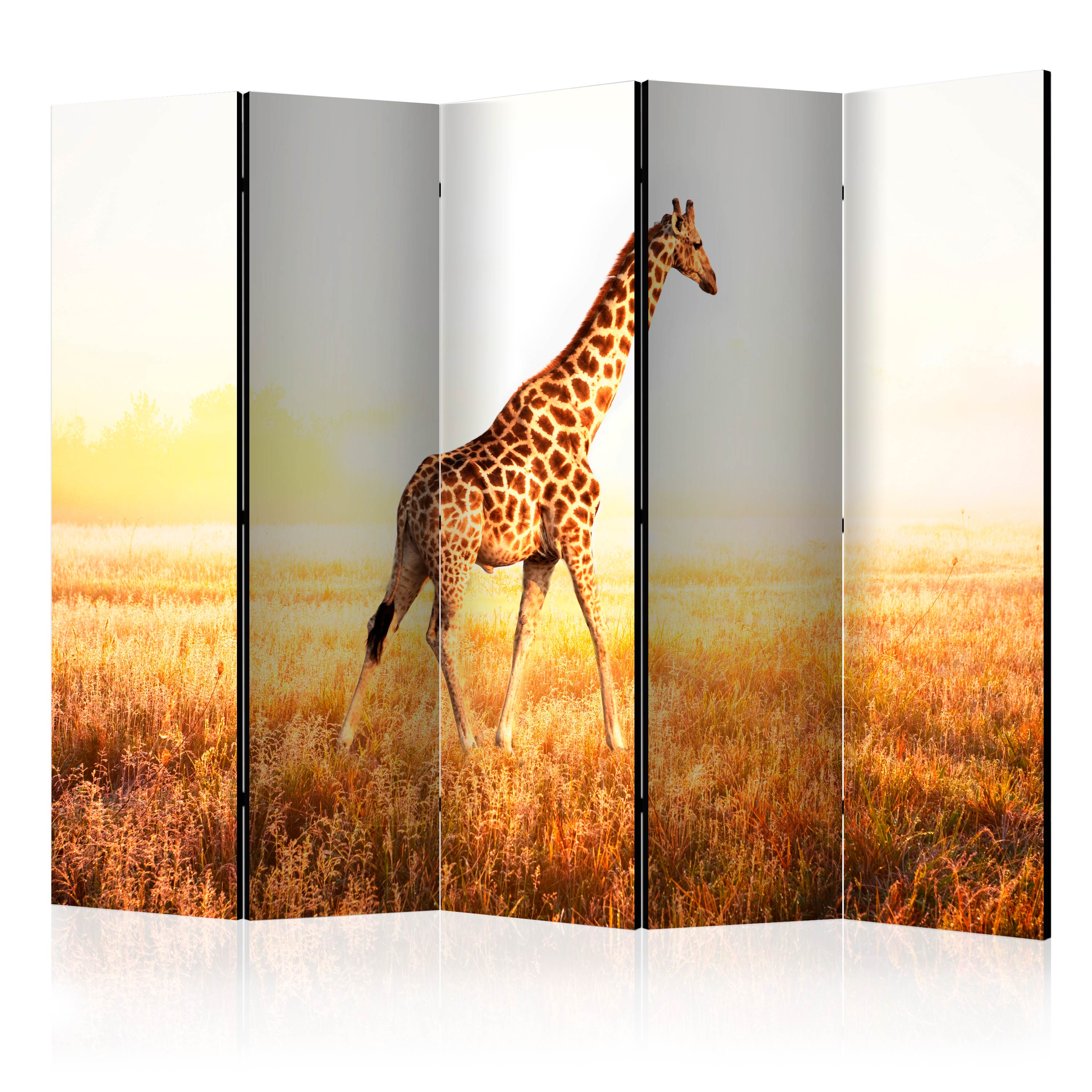 Rumsavdelare Arkiio Giraffe Walk II 225x172 cm