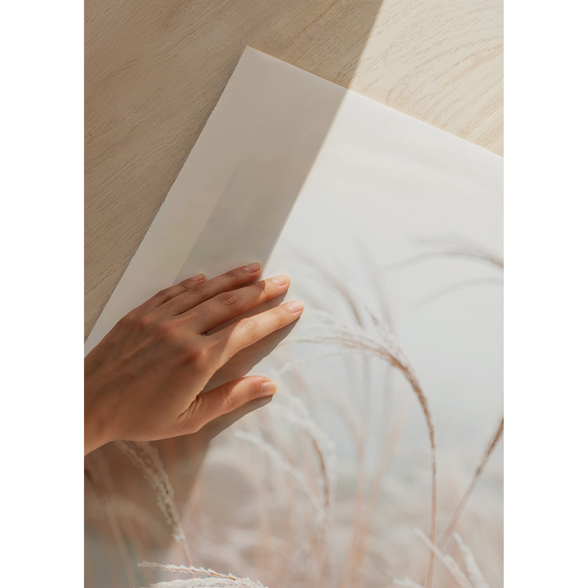 Poster Gallerix Frosted Pampas Grass