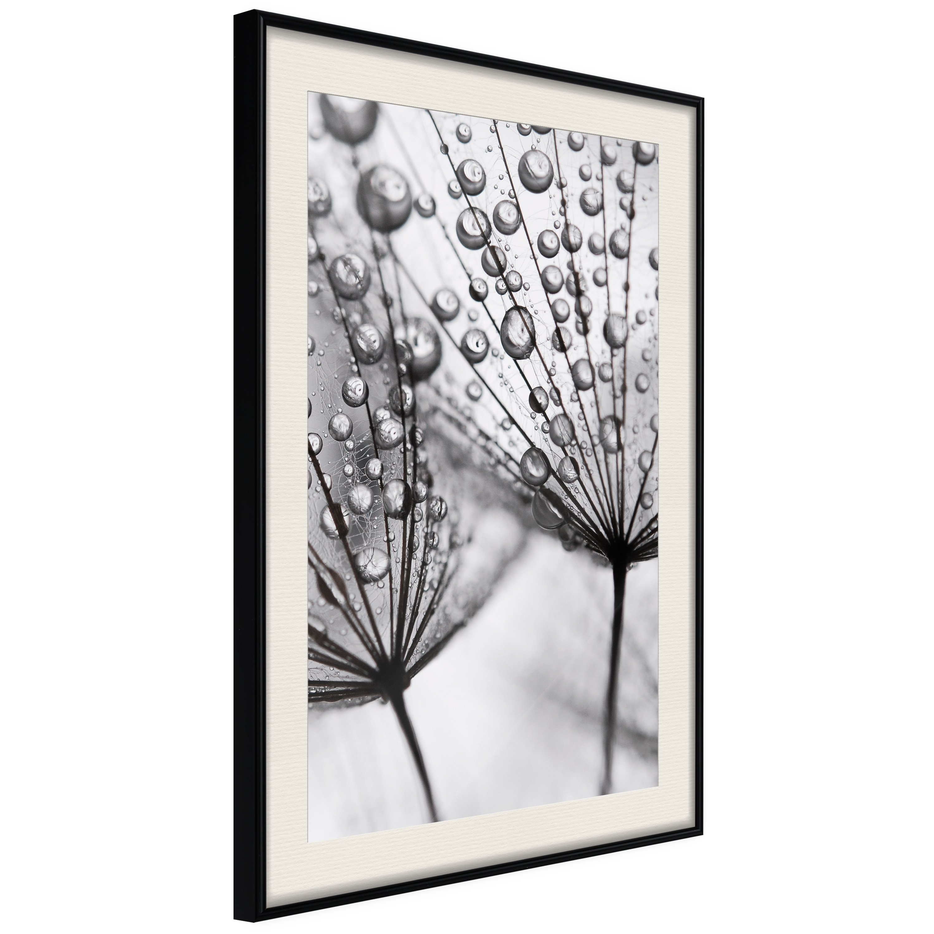 Affisch - Morning Dew [Poster] 20x30 Svart ram med passepartout, 20x30 cm