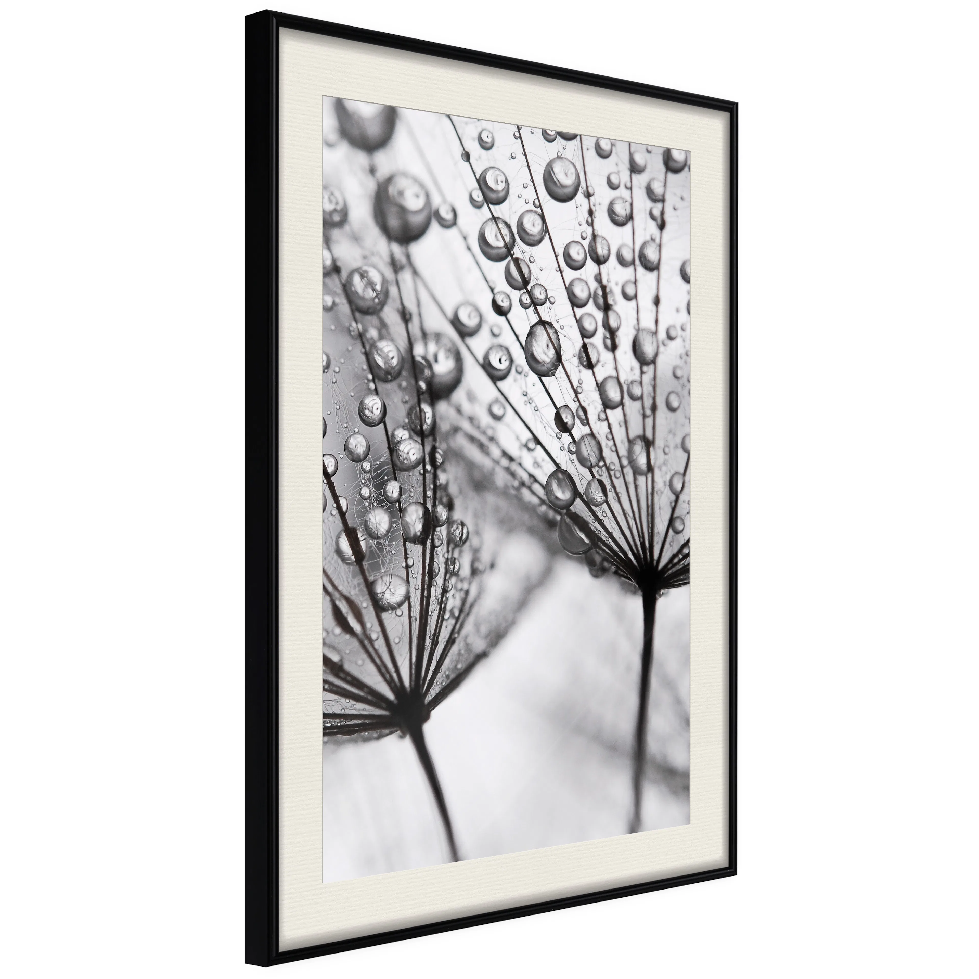 Poster Artgeist Affisch Morning Dew