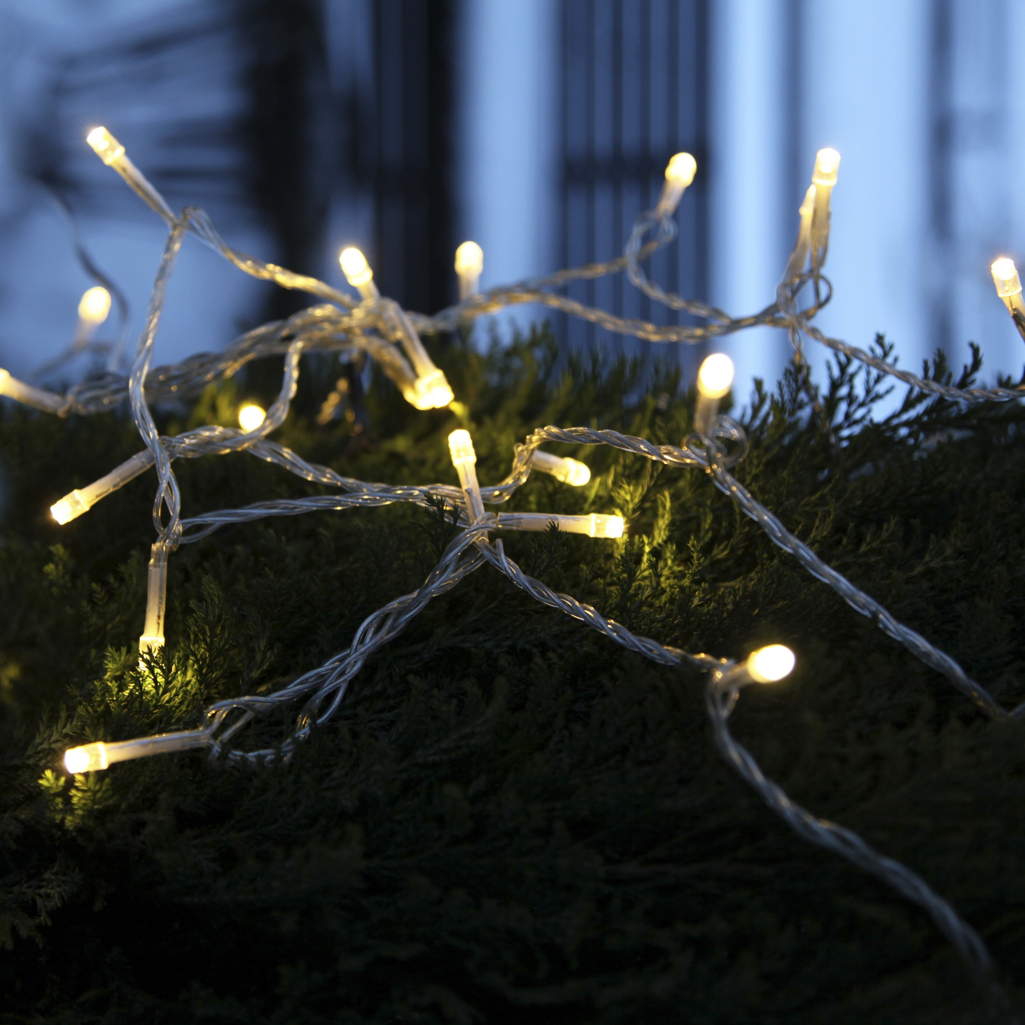 Ljusslinga Star Trading Serie LED Transparent