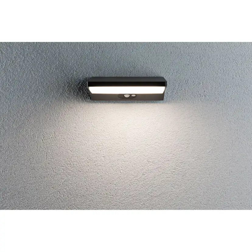 Fasadbelysning LED Paulmann Ronea IP44 230V