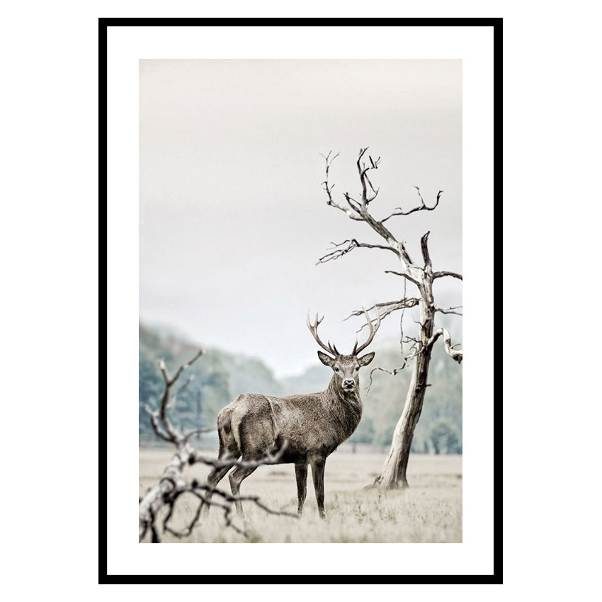Poster Gallerix Winter Deer