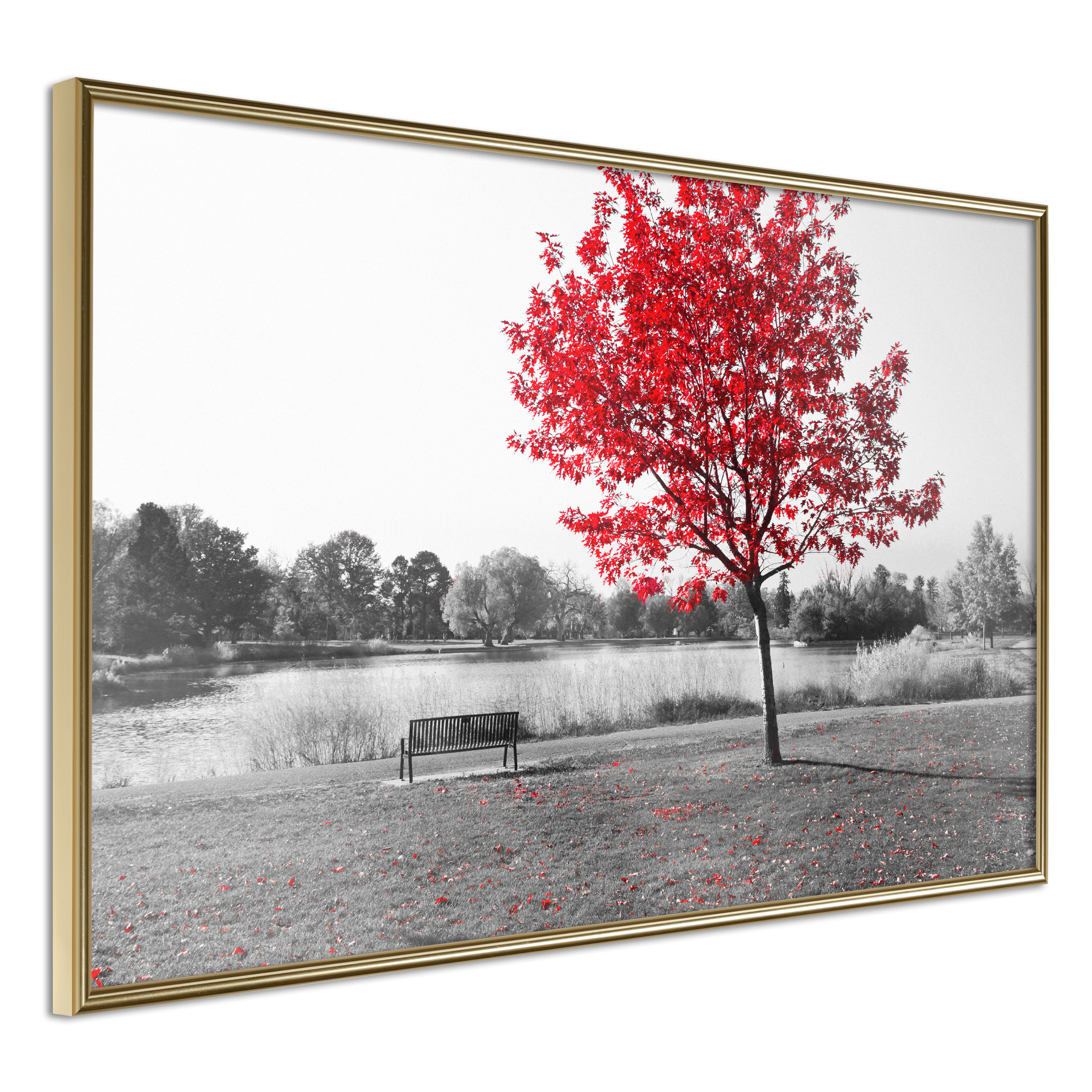 Affisch - Red Tree [Poster] 45x30 Guld ram, 45x30 cm
