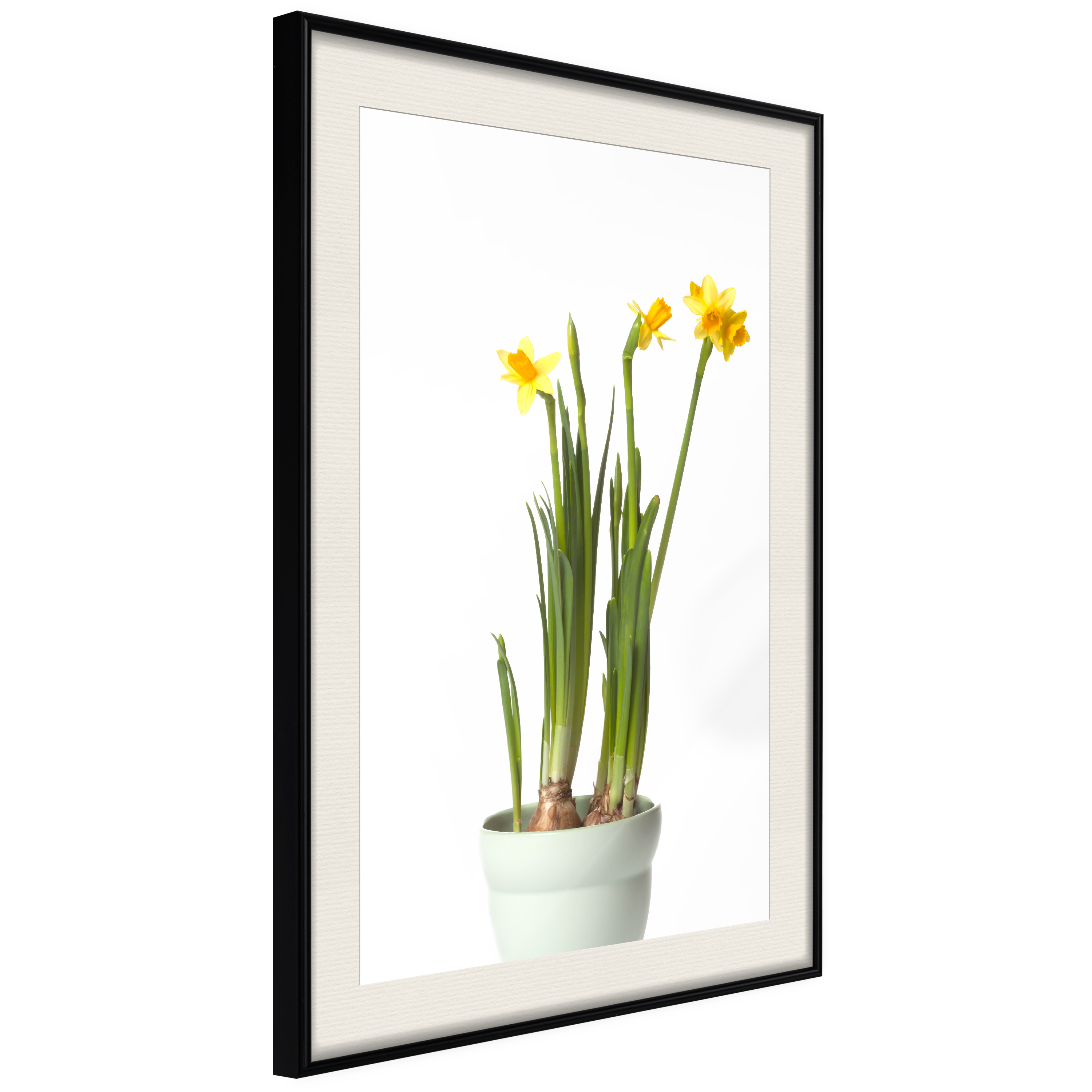 Affisch - Narcissus [Poster] 40x60 Svart ram med passepartout, 40x60 cm