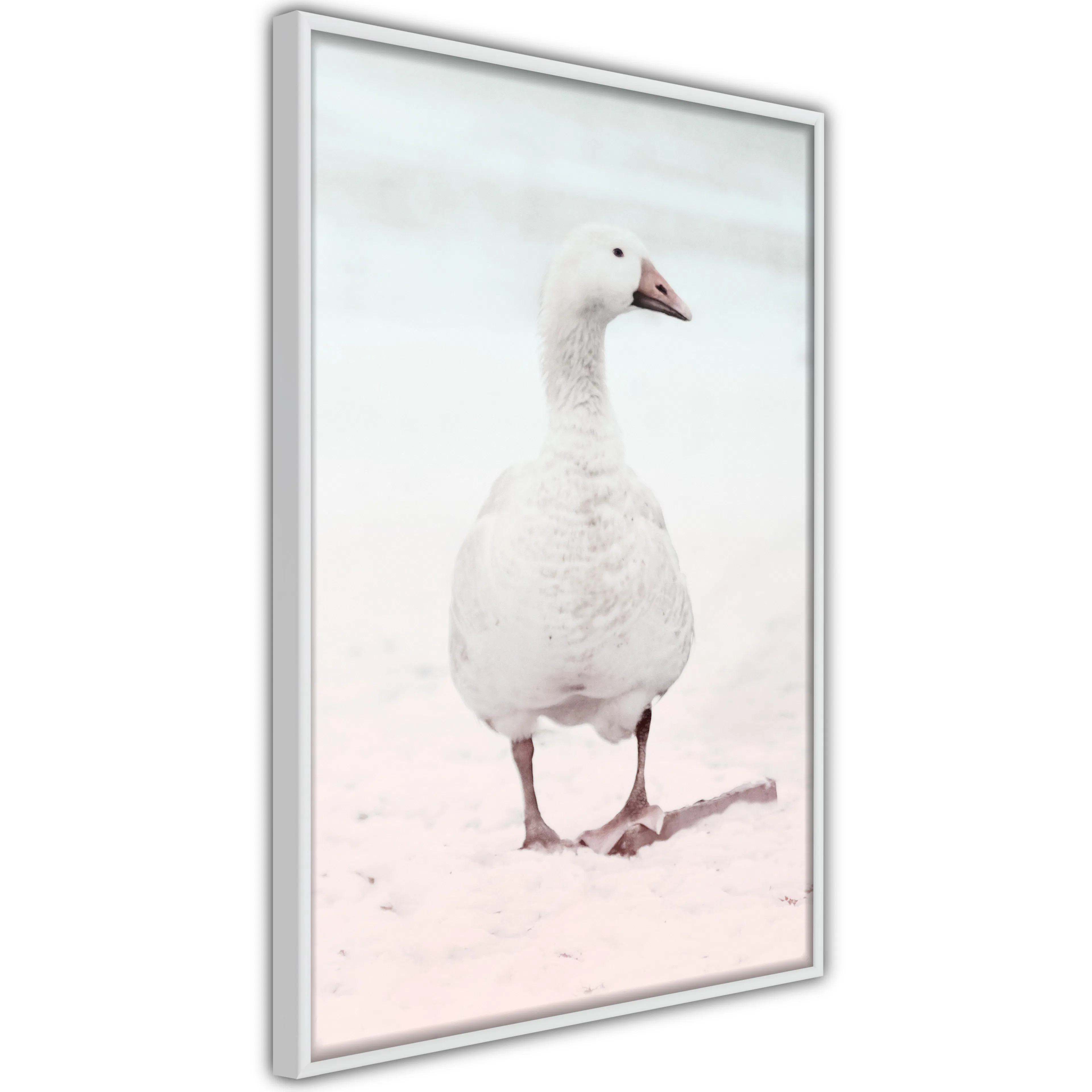 Poster Artgeist Affisch Winter Duck