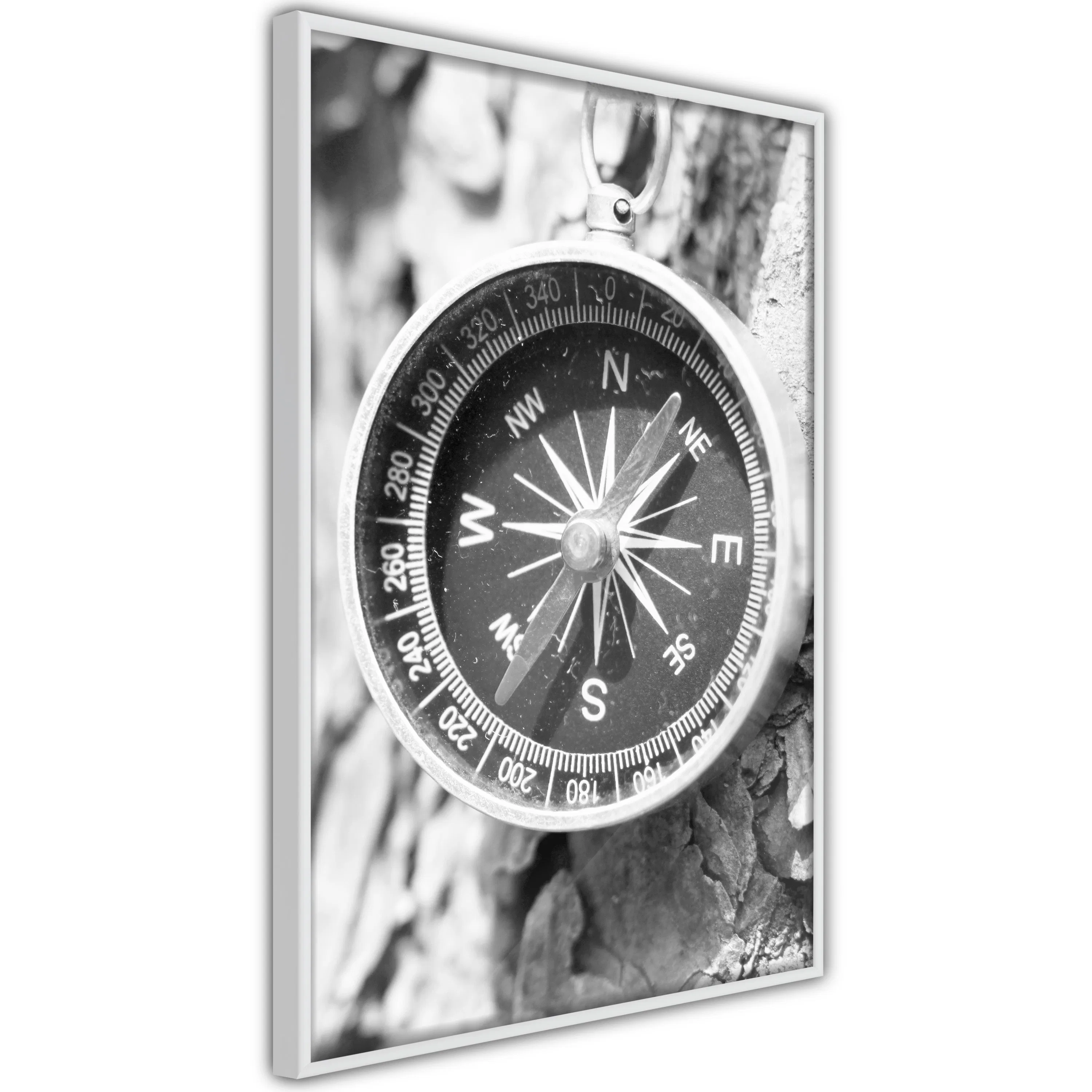 Poster Artgeist Affisch Black and White Compass