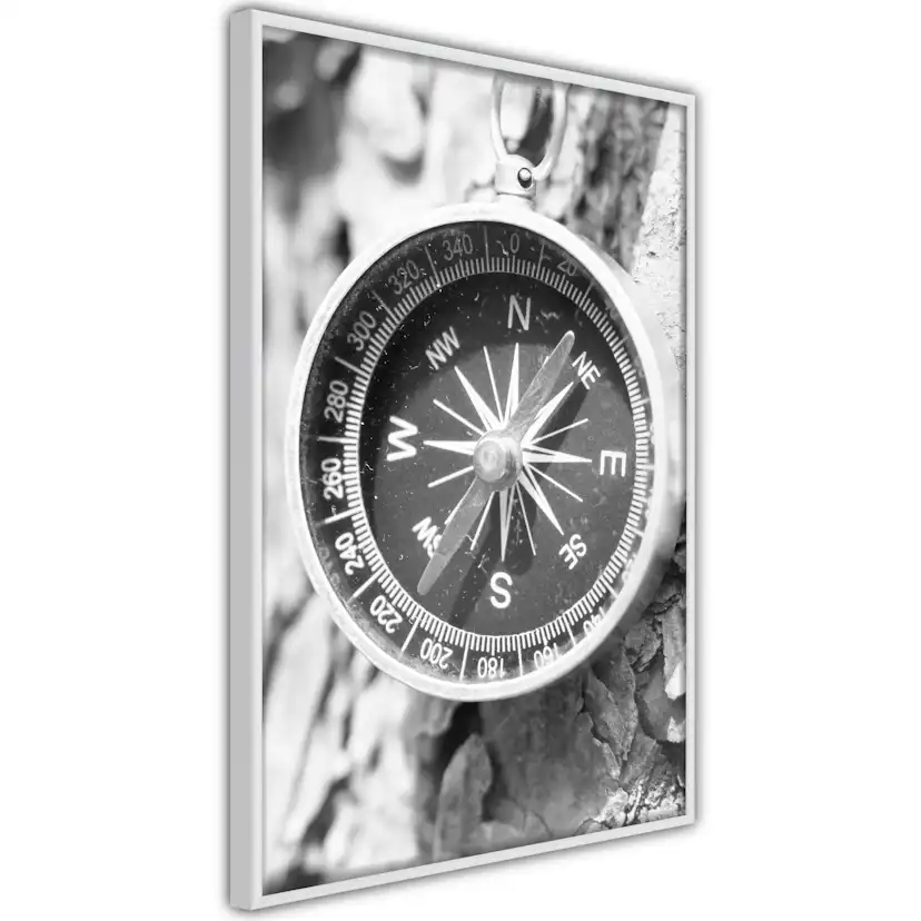 Poster Artgeist Affisch Black and White Compass