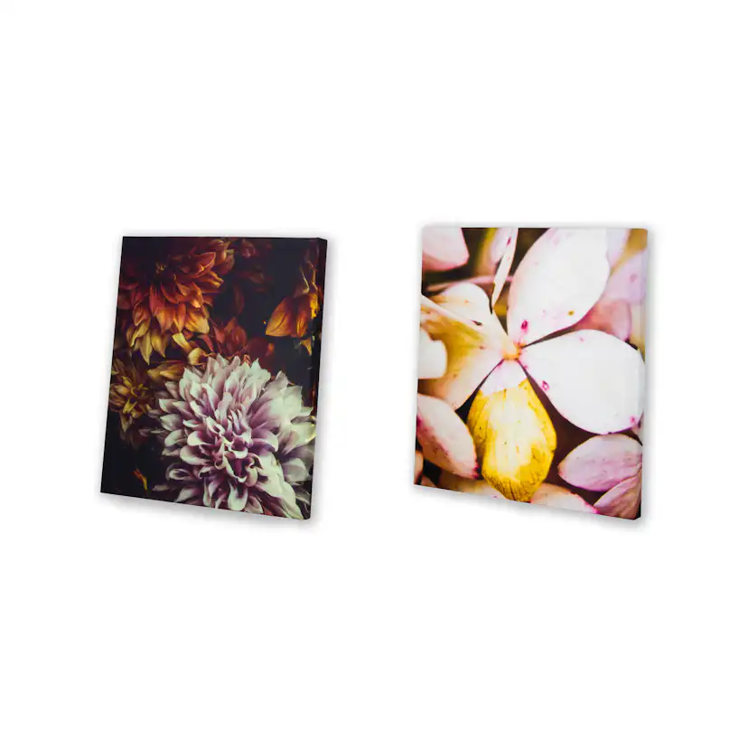 Canvastavla Art For The Home Set av 5 Soft Temptation Ett hav av Blommor 80x60cm