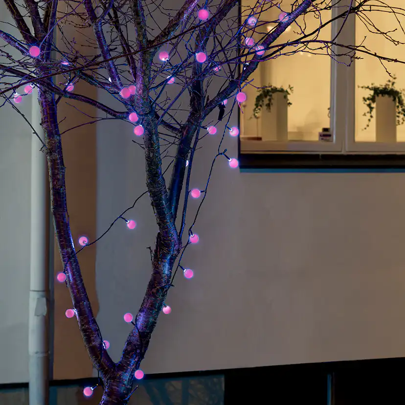 Ljusslinga Gnosjö Konstsmide 80 st RGB LED