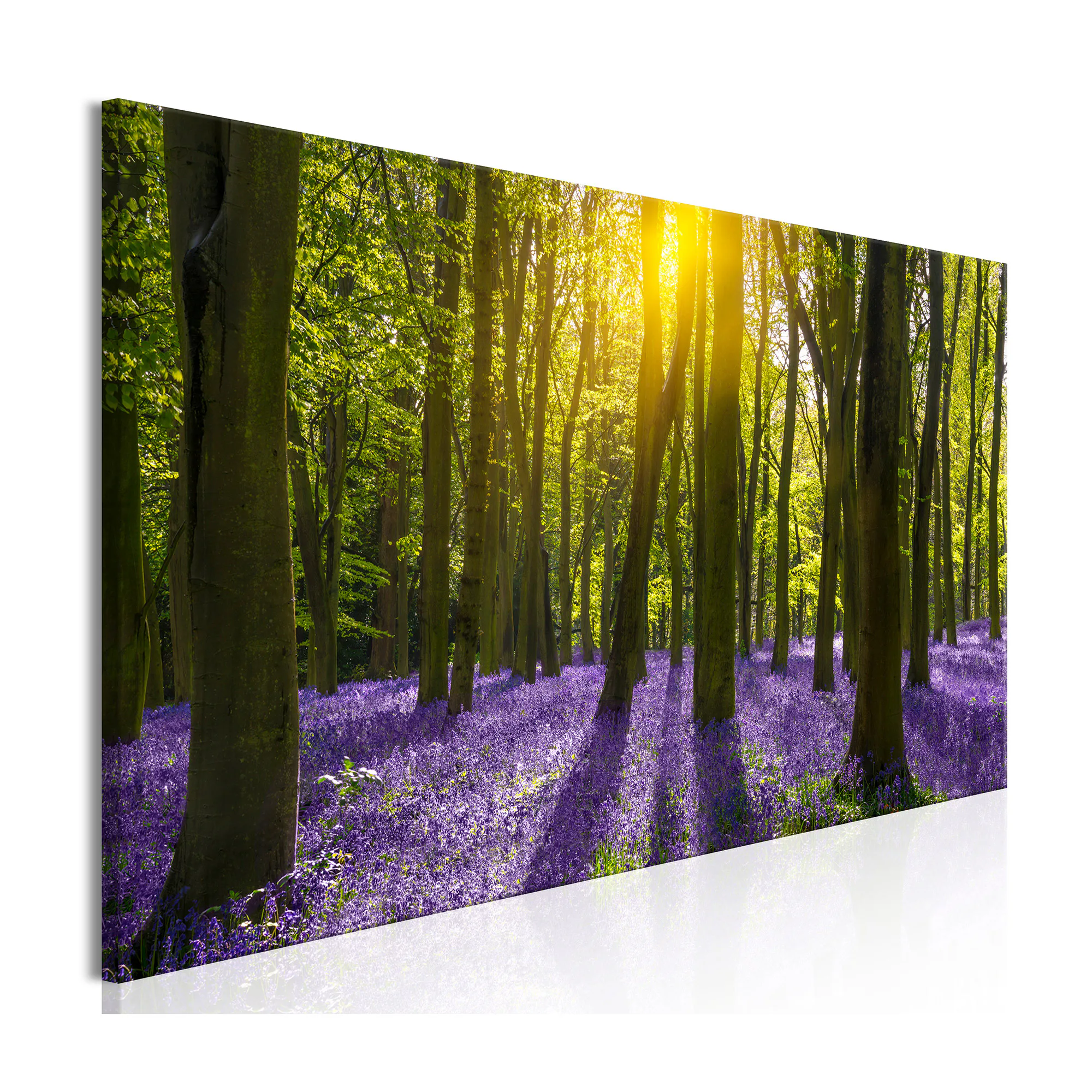 Tavla Arkiio Hyacinth Field