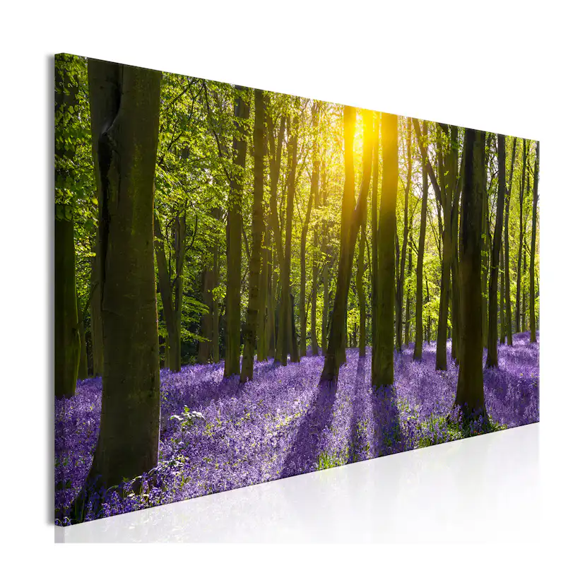 Tavla Arkiio Hyacinth Field