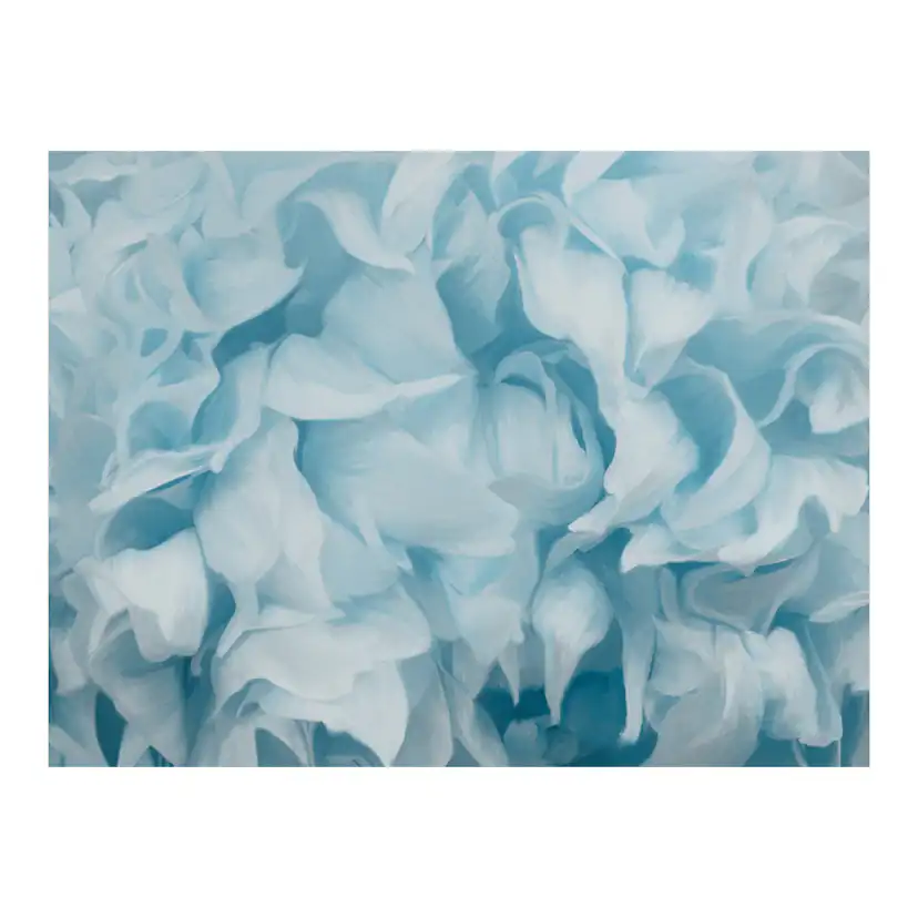Fototapet Arkiio Azalea Blue