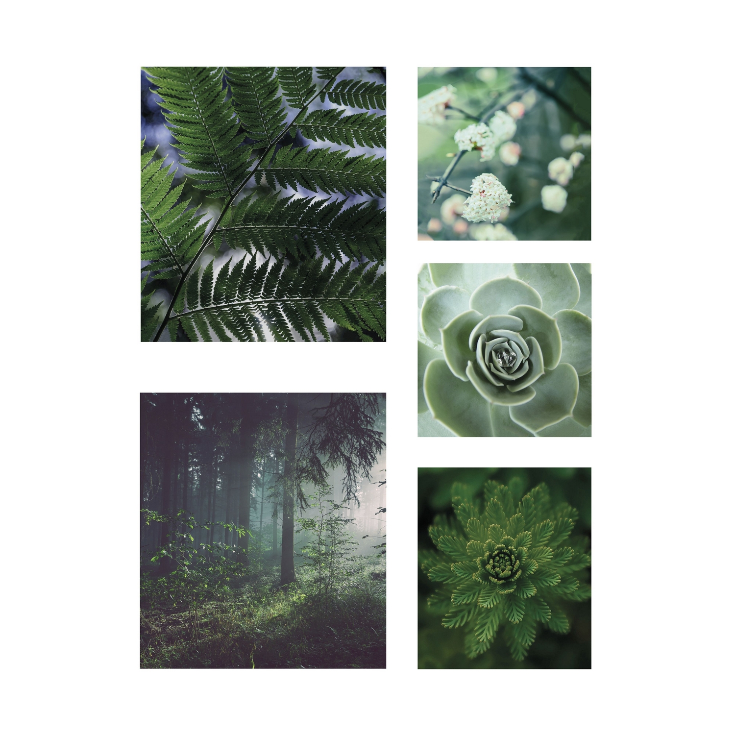 Tavla Art For The Home 5 Delar Ren Natur