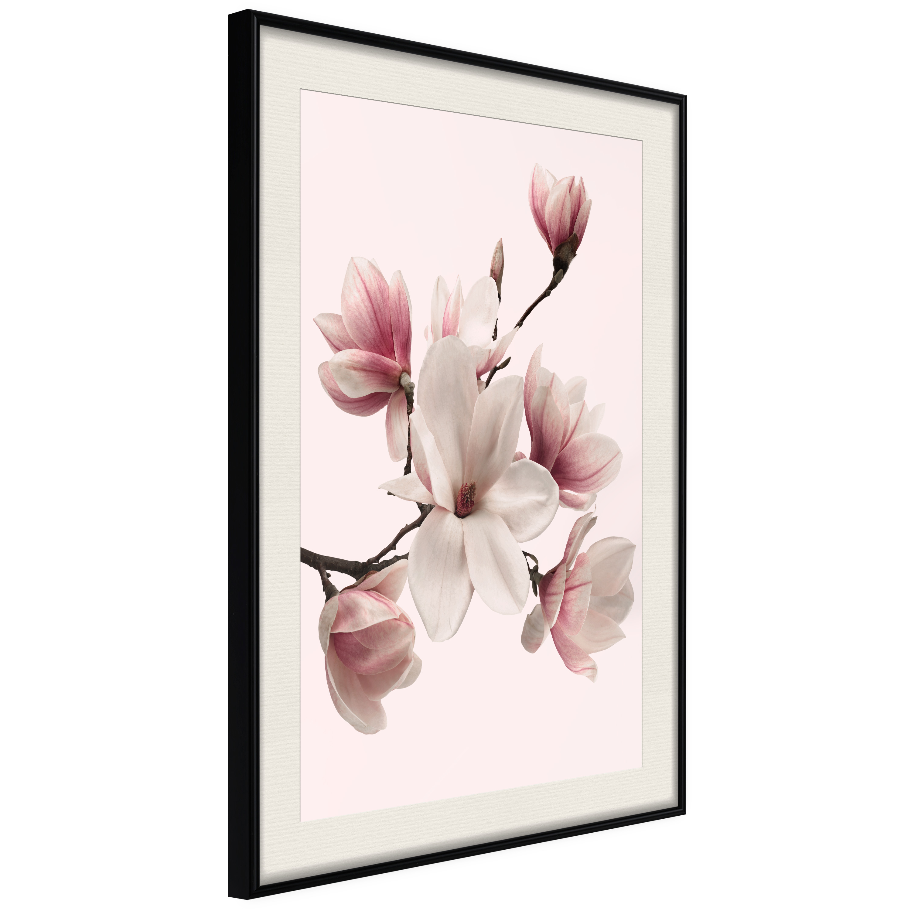 Affisch - Delicate Magnolias [Poster] 30x45 Svart ram med passepartout, 30x45 cm