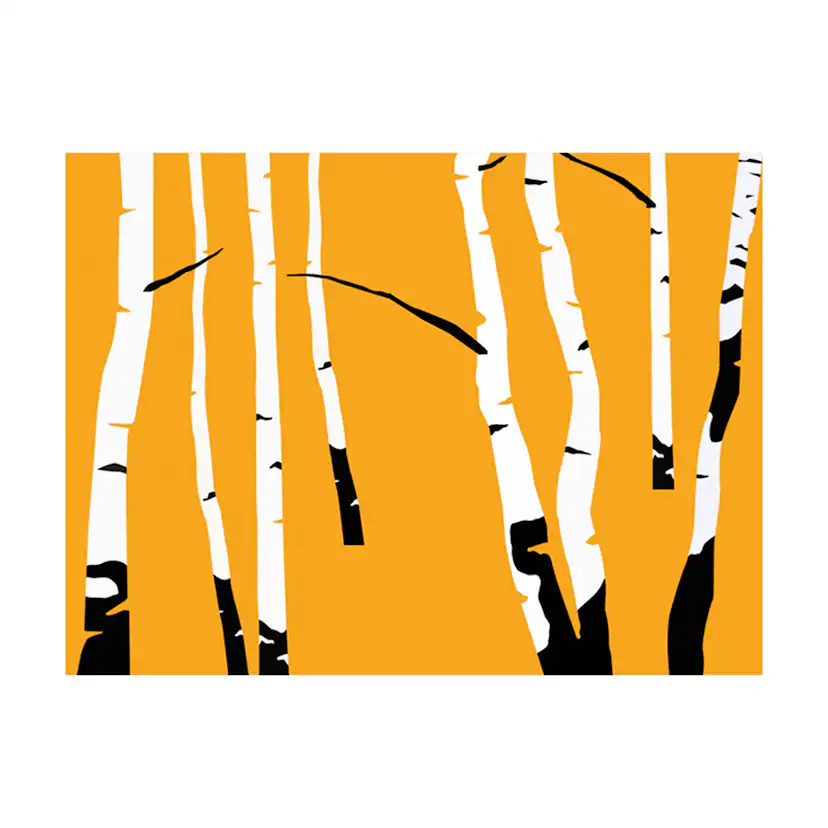 Birches on the orange background 400x309 Storlek: 400x309 cm