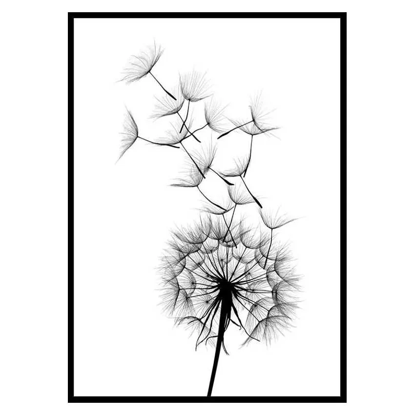 Poster Gallerix Dandelion Wish