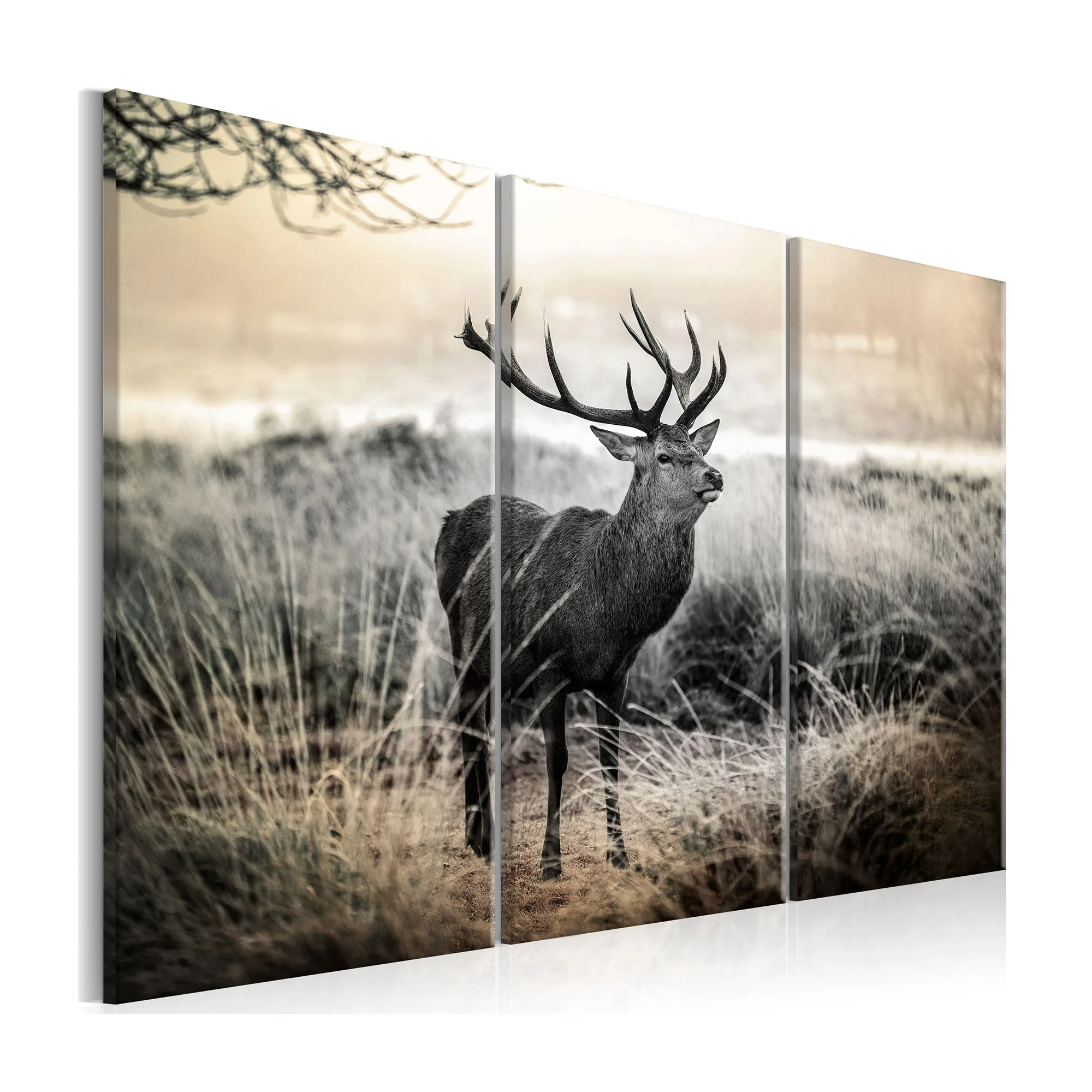 Tavla Arkiio Dangerous Horns I