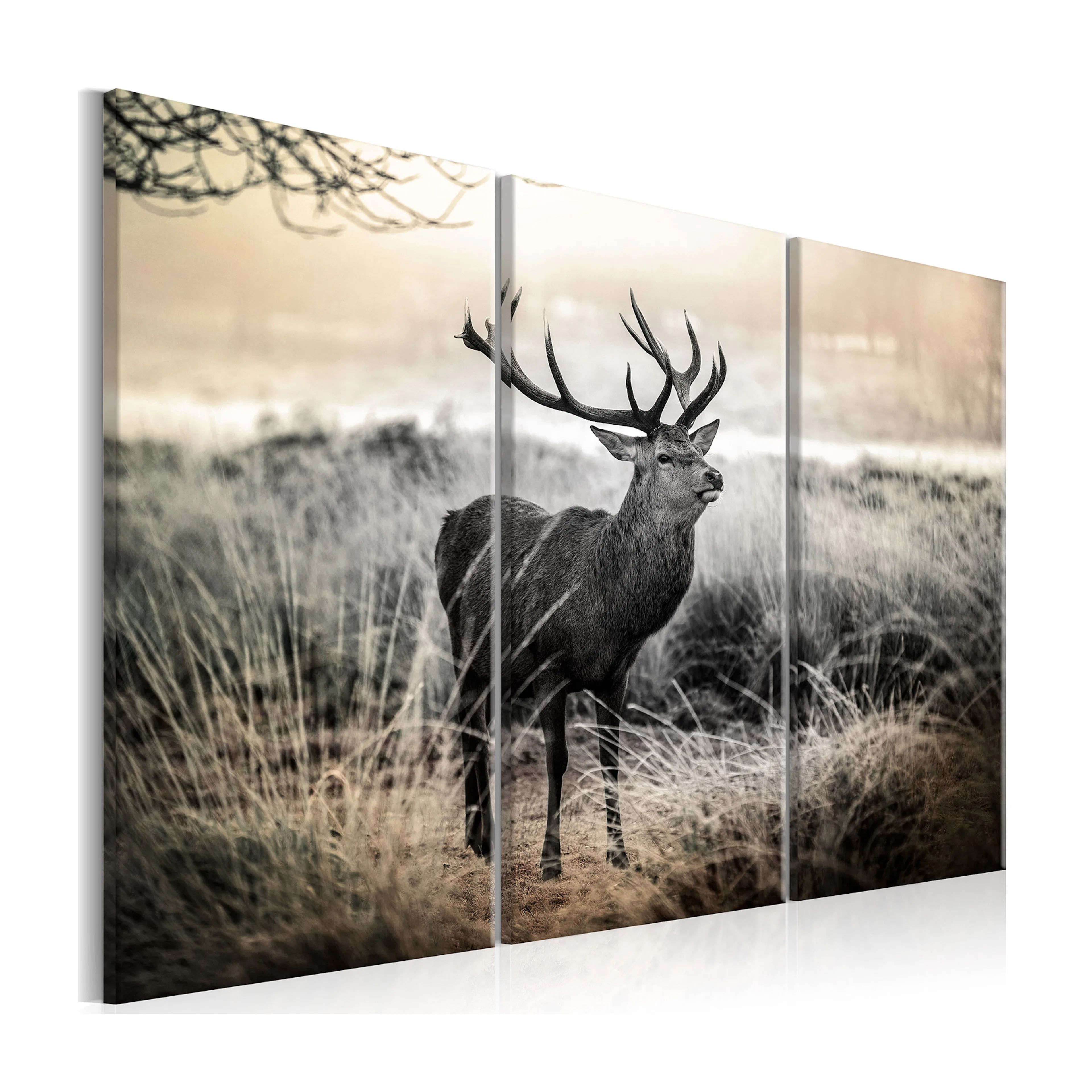 Tavla Arkiio Dangerous Horns I