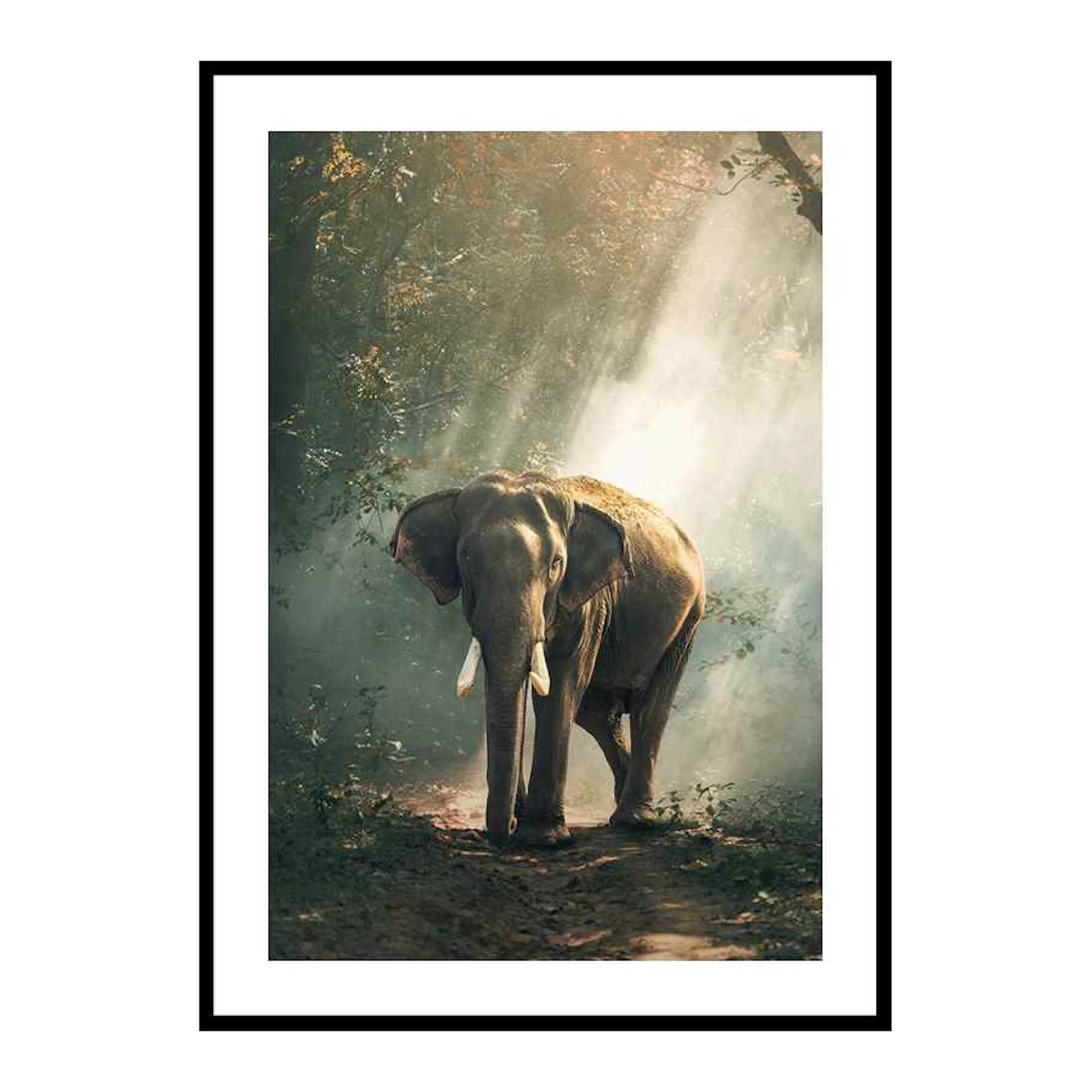 Forest Elephant 30x40 cm
