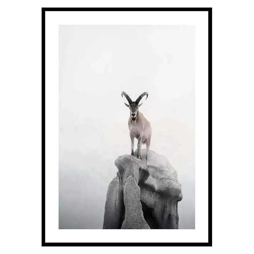 Poster Gallerix Intent Ibex
