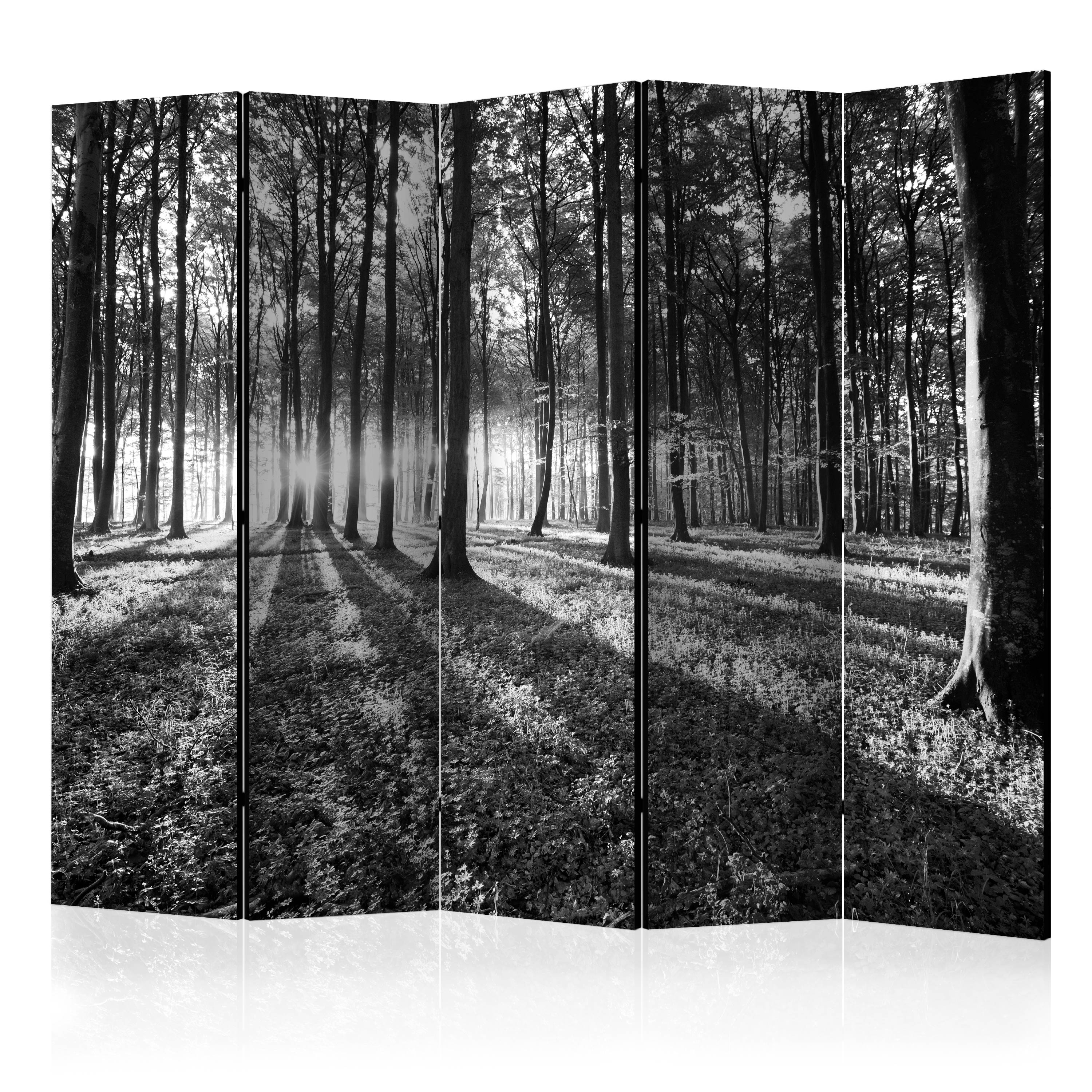 Rumsavdelare Arkiio Grey Wilderness II 225x172 cm