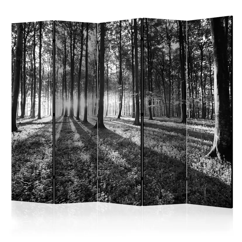 Rumsavdelare Arkiio Grey Wilderness II 225x172 cm
