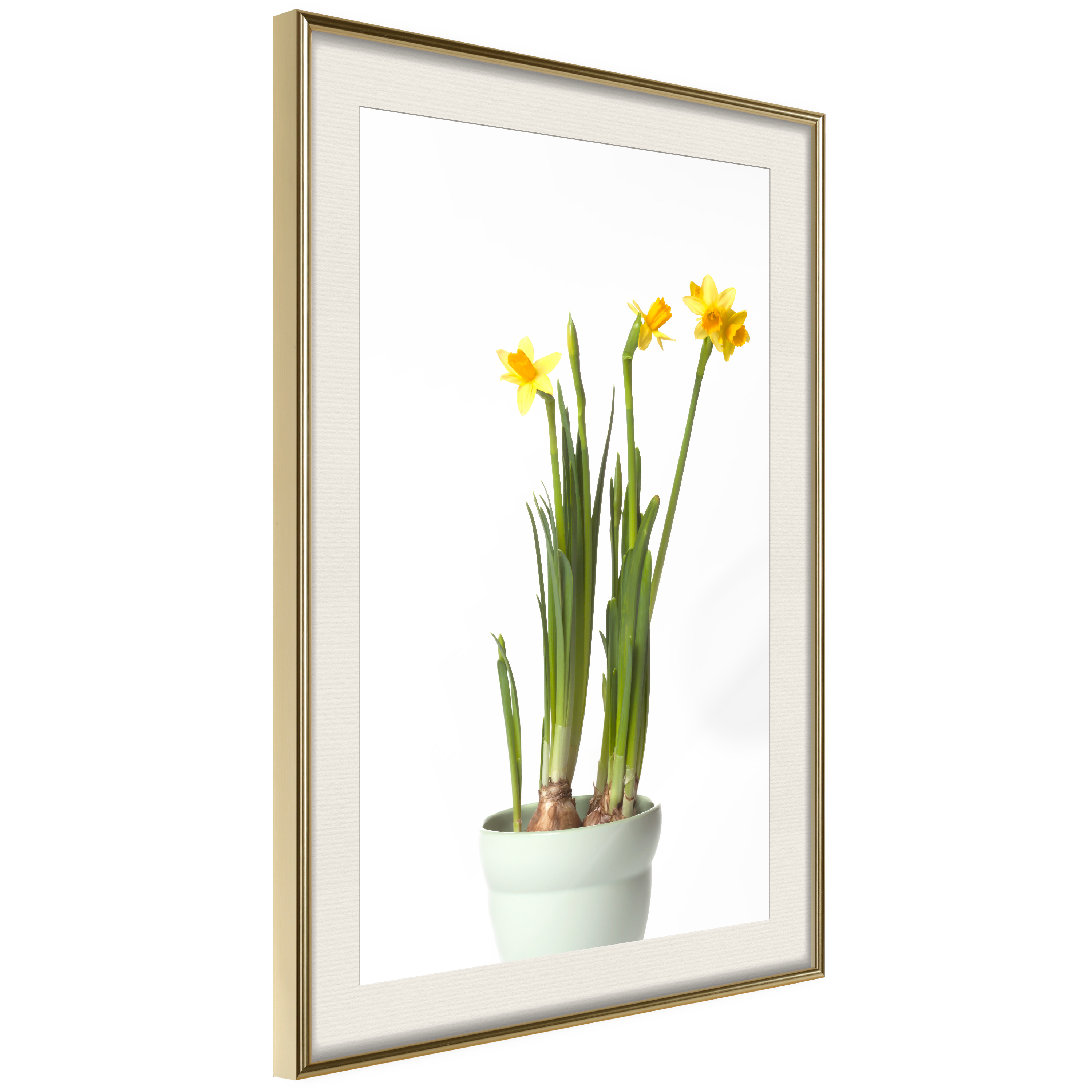 Affisch - Narcissus [Poster] 30x45 Guld ram med passepartout, 30x45 cm