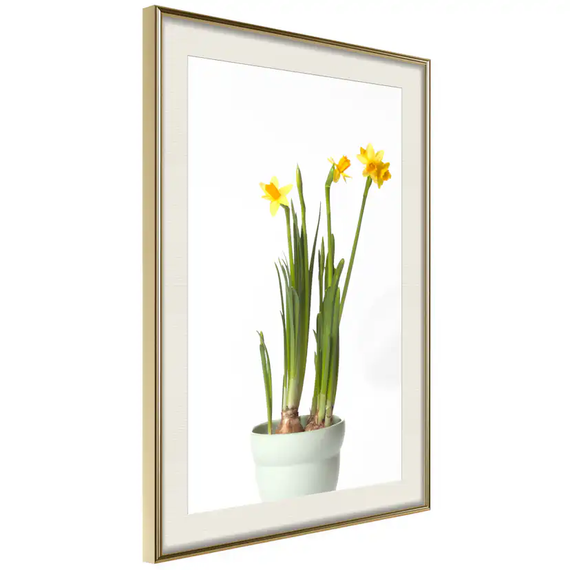 Poster Artgeist Affisch Narcissus