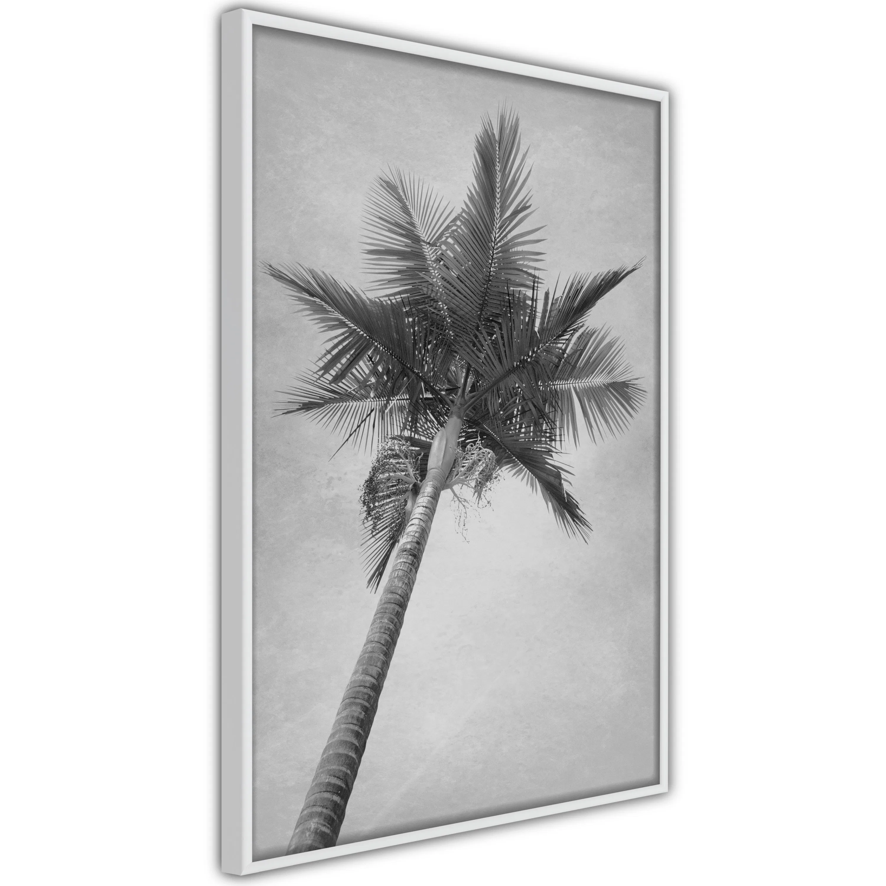 Poster Artgeist Affisch High Palm Tree