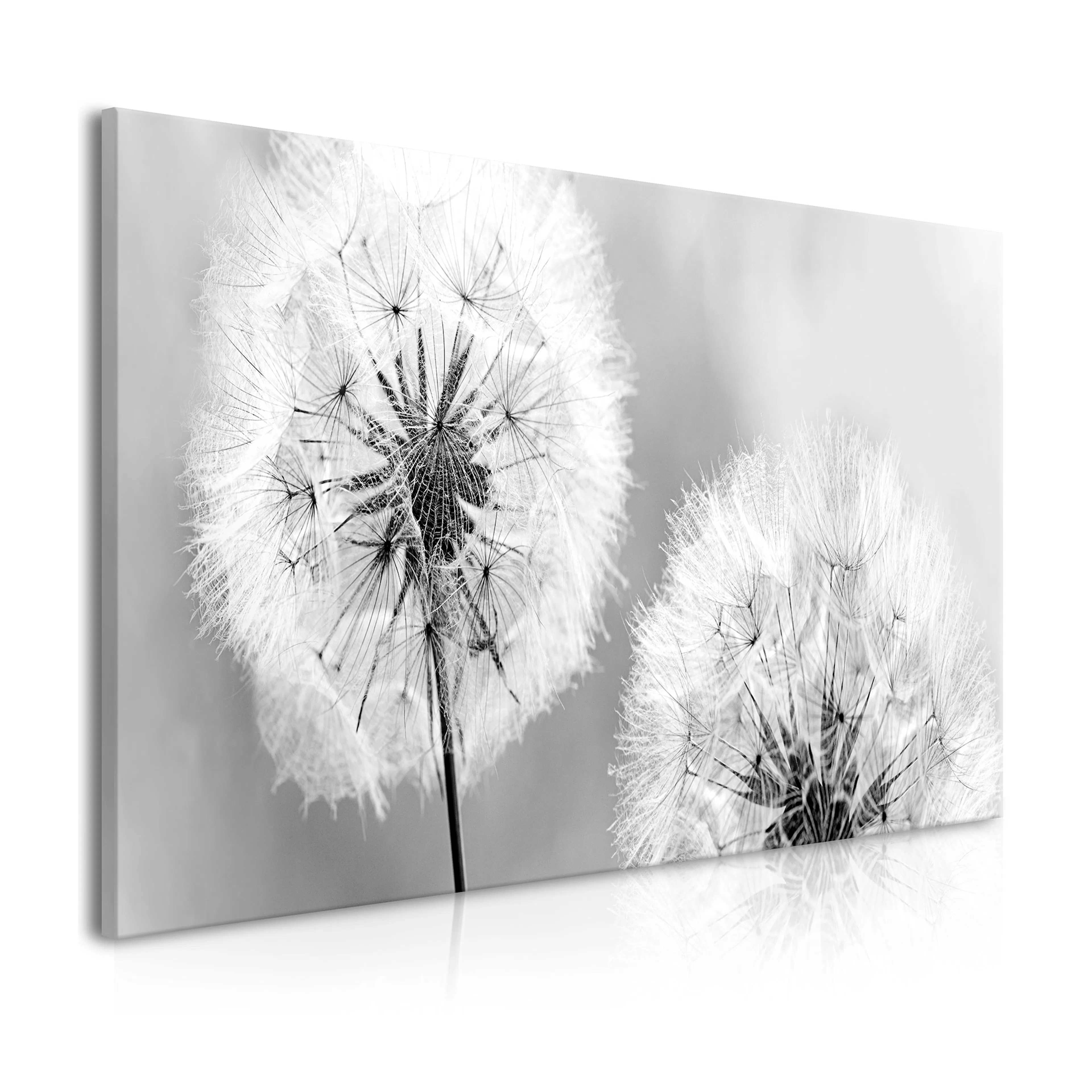 Tavla Arkiio Fluffy Dandelions Green