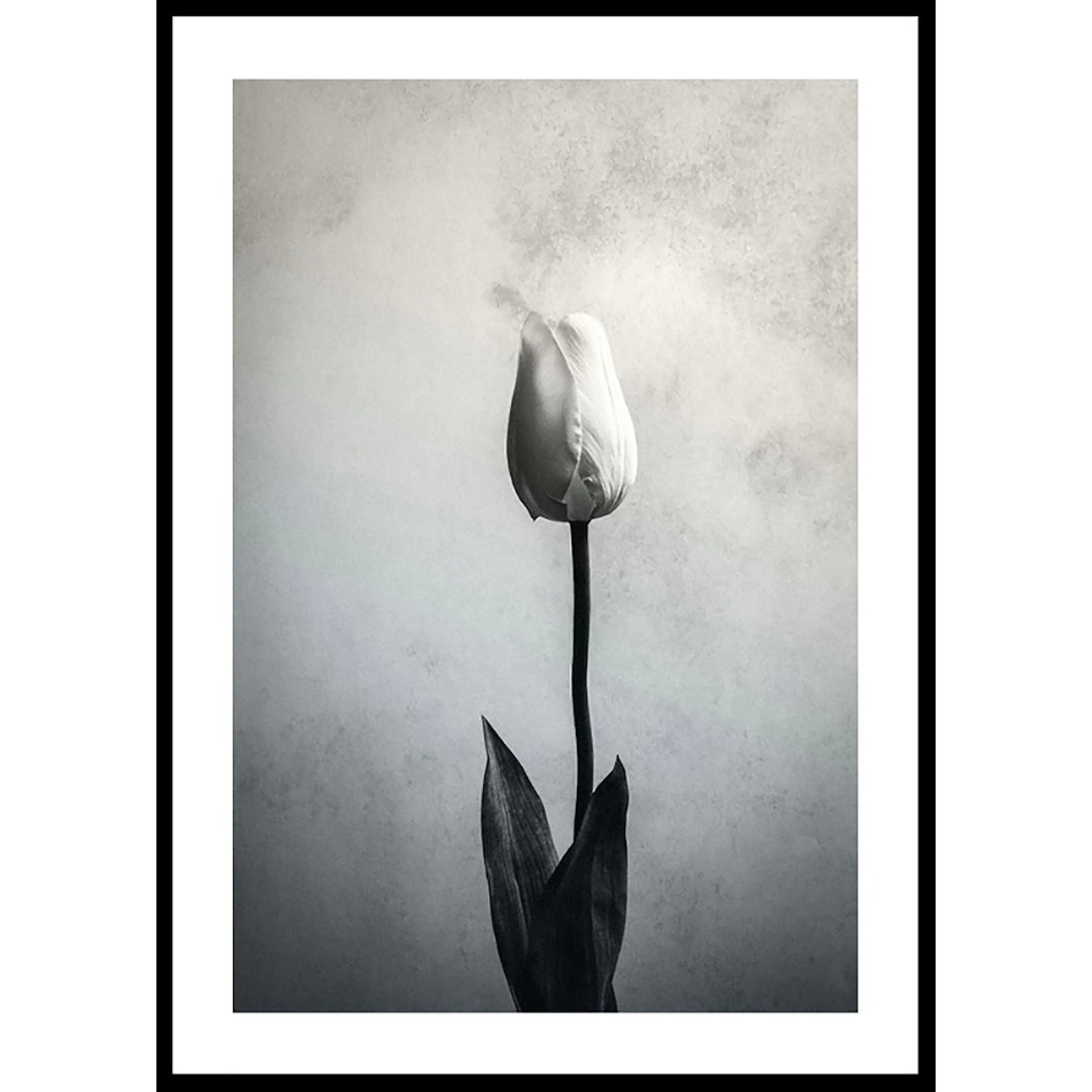 Poster Gallerix Serendipity