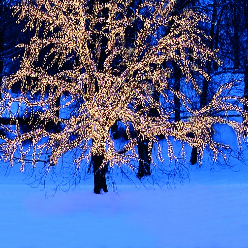 Ljusslinga Star Trading Extra System LED 5 m