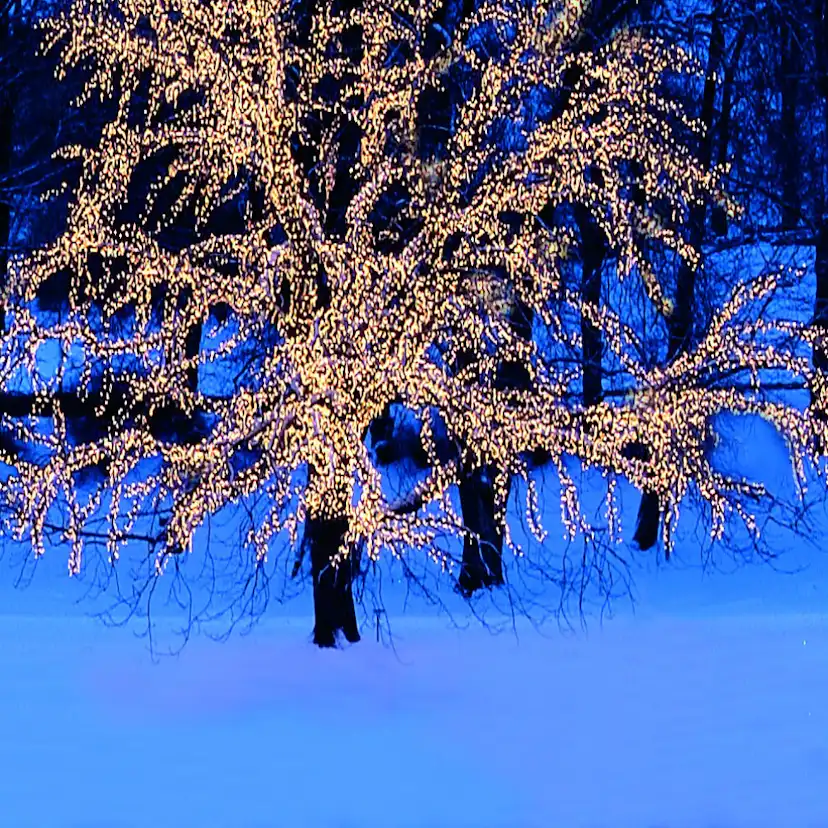 Ljusslinga Star Trading Extra System LED 5 m