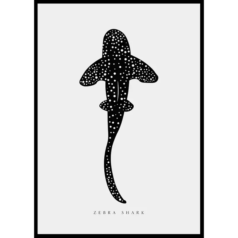 Poster Gallerix Zebra Shark