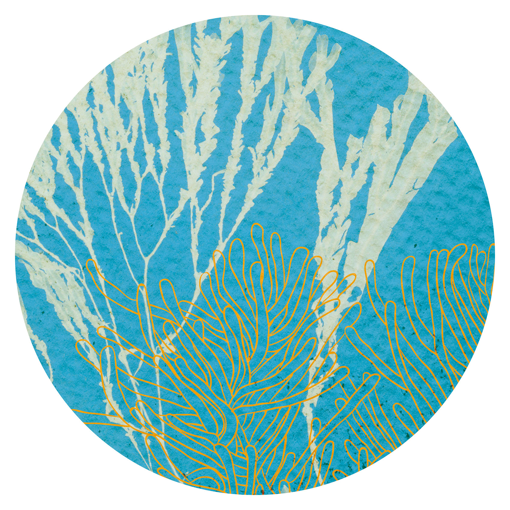 Wallcirkel Art for the Home Fish 3 st ø70/50/30