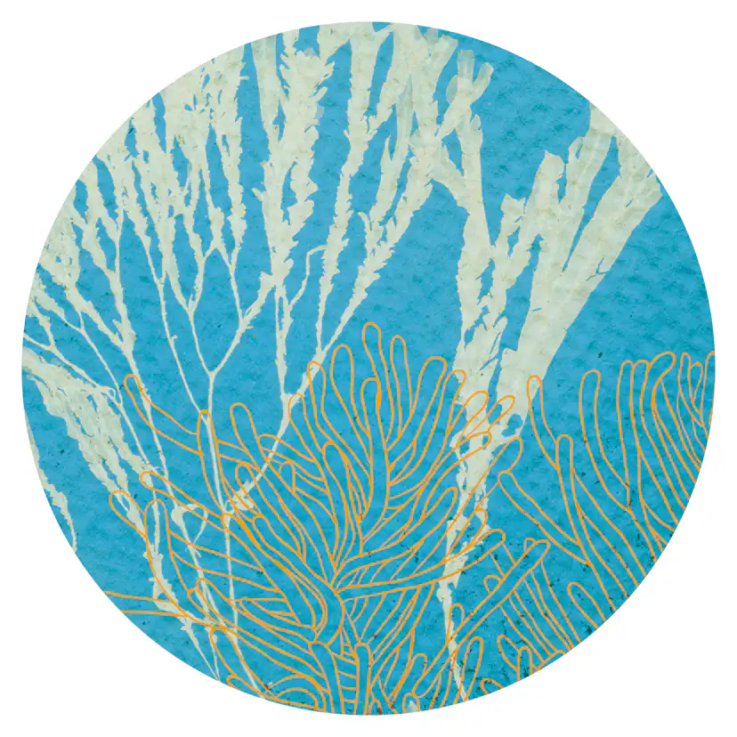 Wallcirkel Art for the Home Fish 3 st ø70/50/30