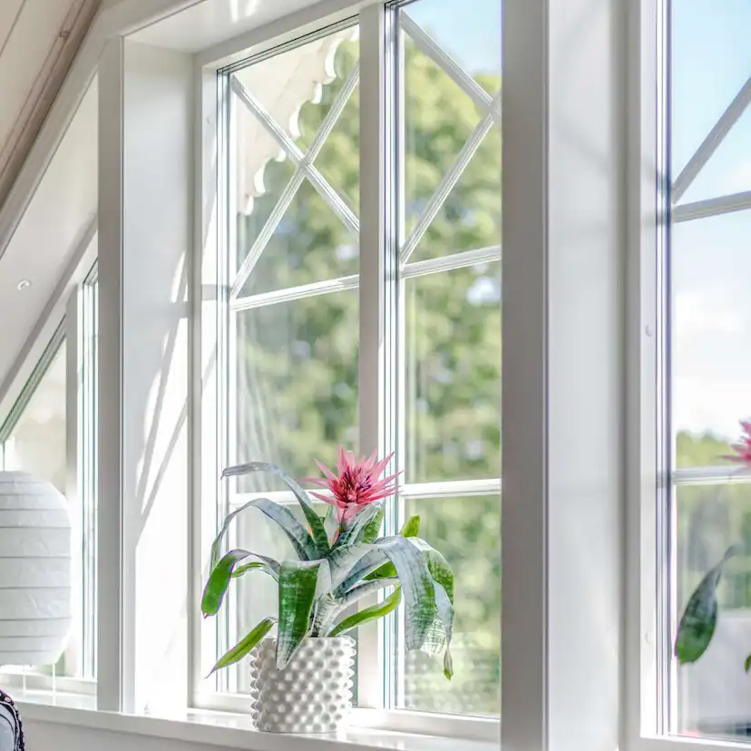 Fast Fönster Outline Trä/Aluminium Lagerfört