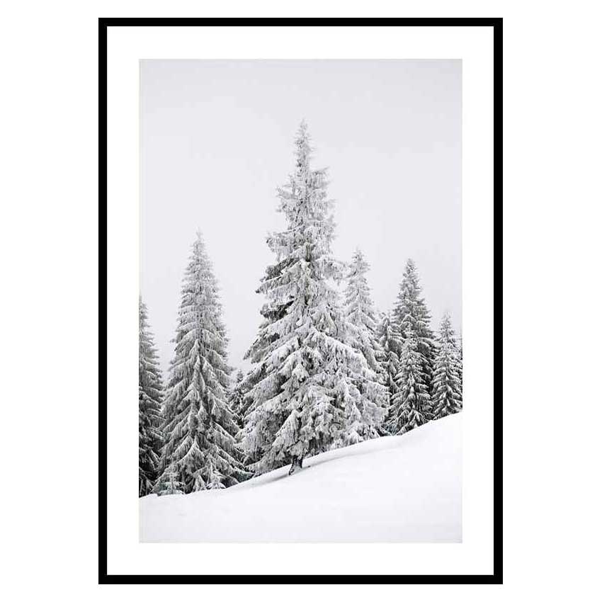 Poster Gallerix Spruce In Winter