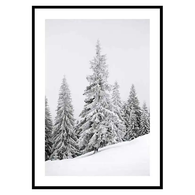 Poster Gallerix Spruce In Winter